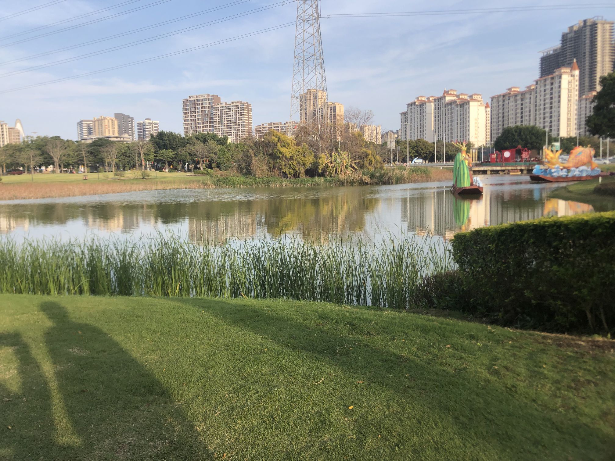 海湾湿地生态公园旅行图片 1