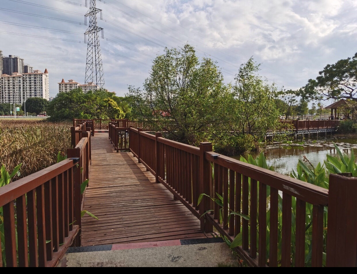 海湾湿地生态公园旅行图片 3