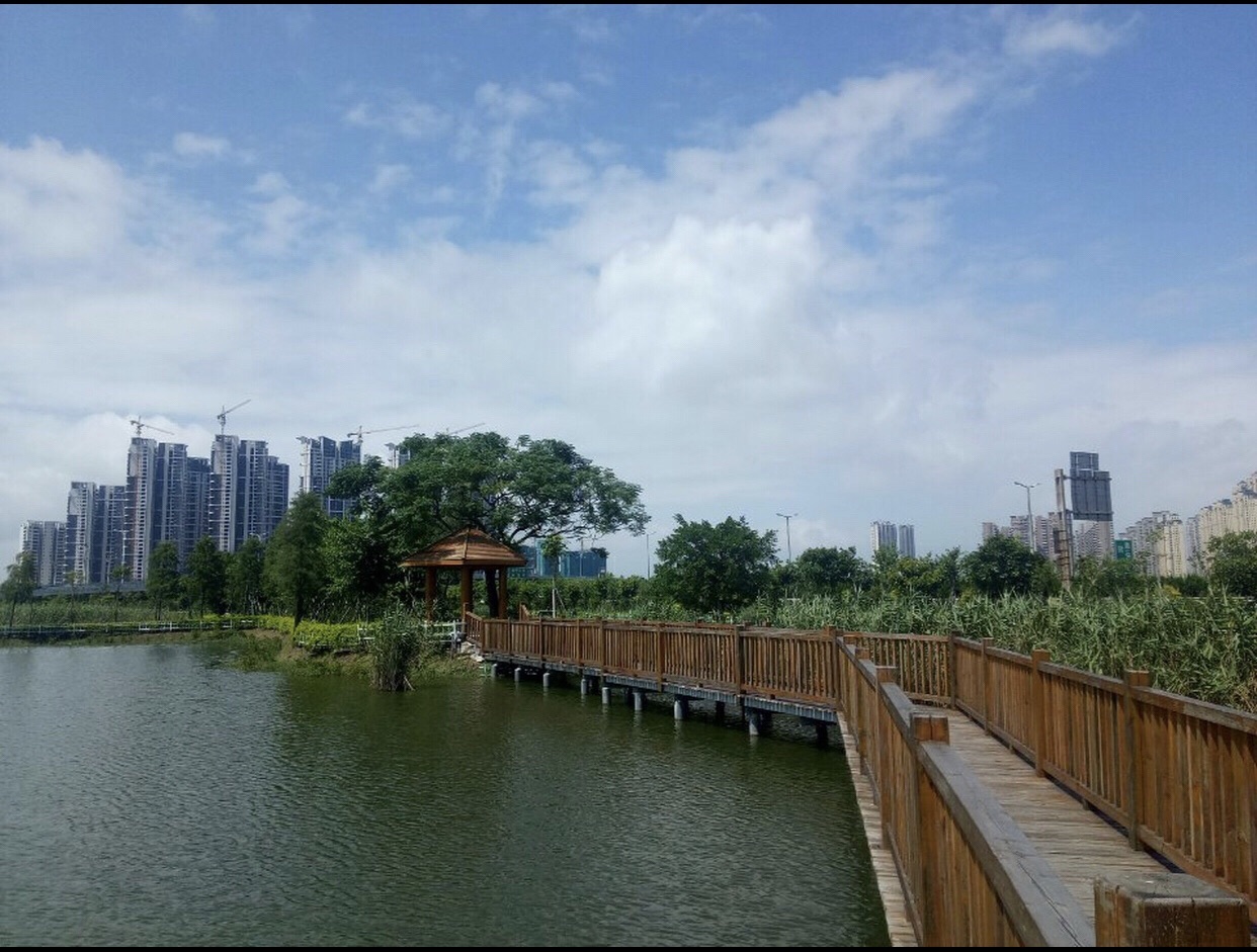 海湾湿地生态公园旅行图片 2