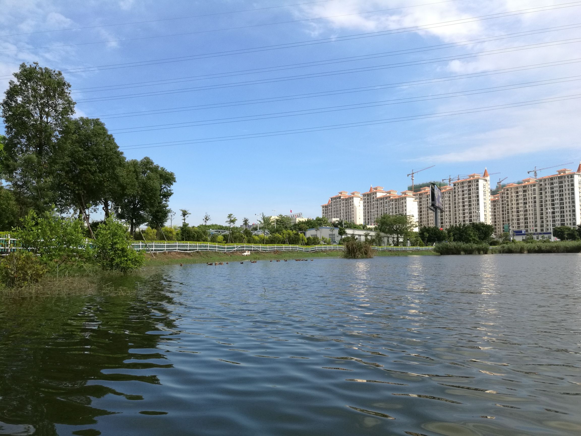 海湾湿地生态公园旅行图片 3