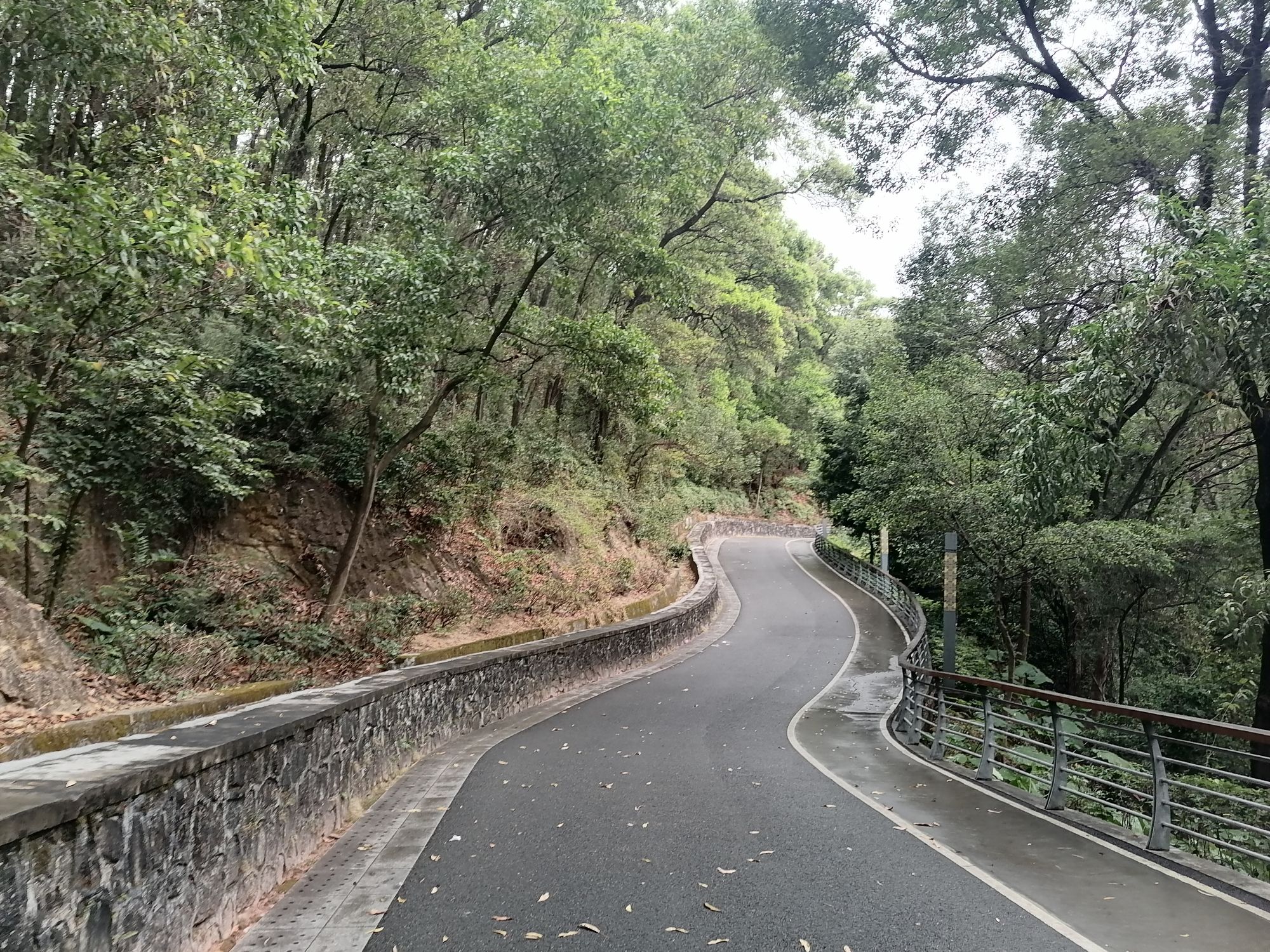 红花山公园旅行图片 2