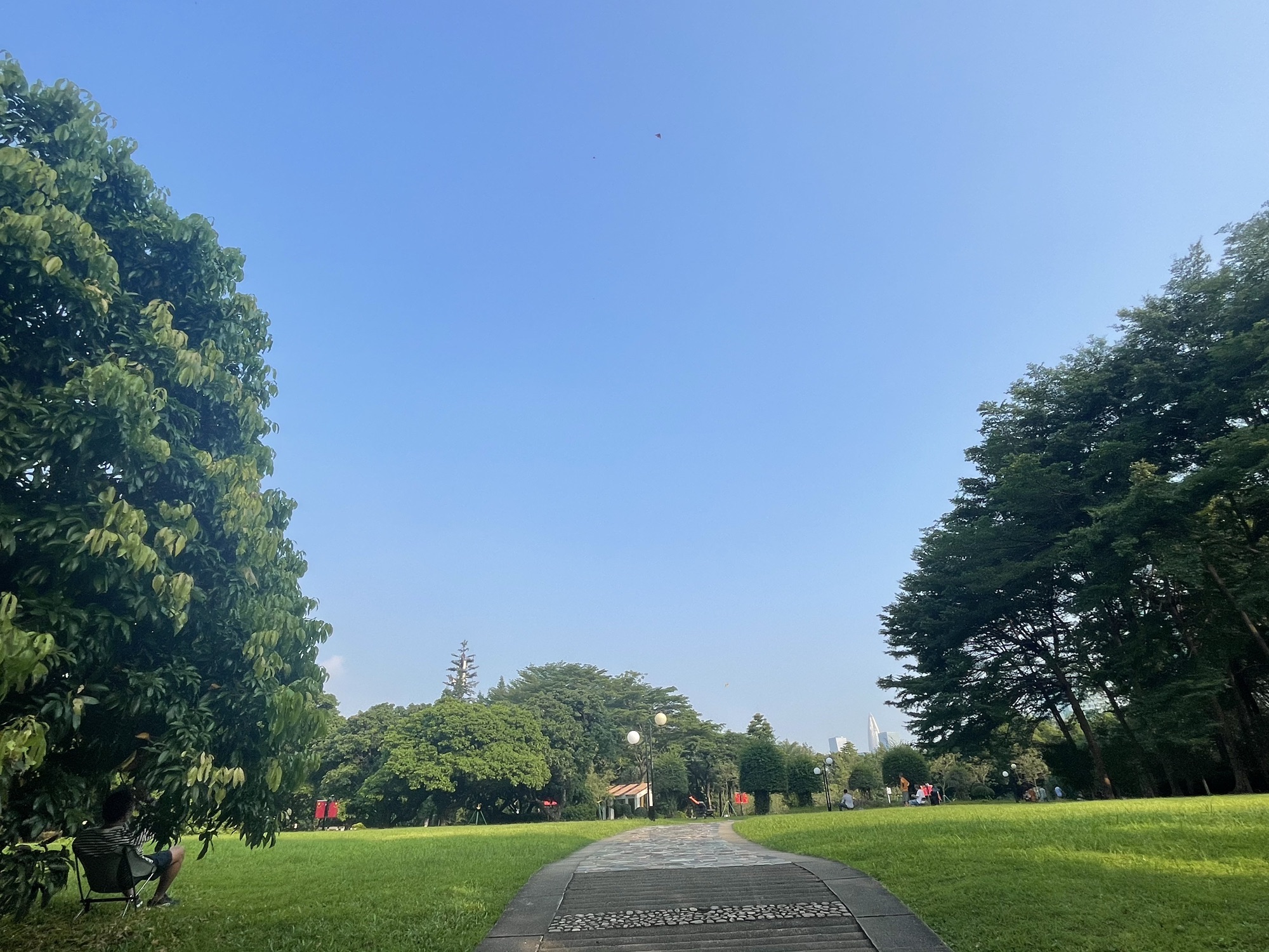 荔香公园旅行图片 3