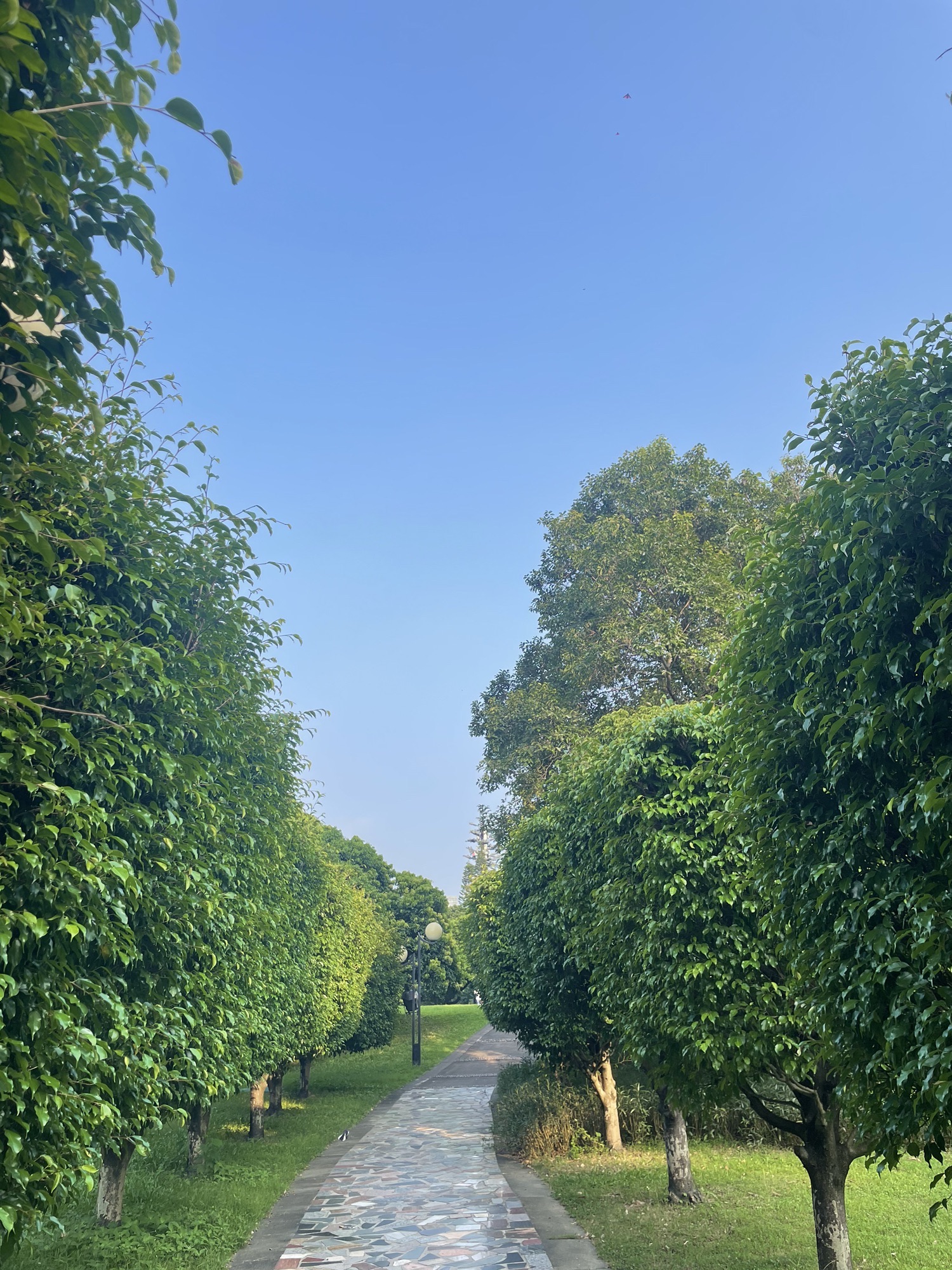 荔香公园旅行图片 1