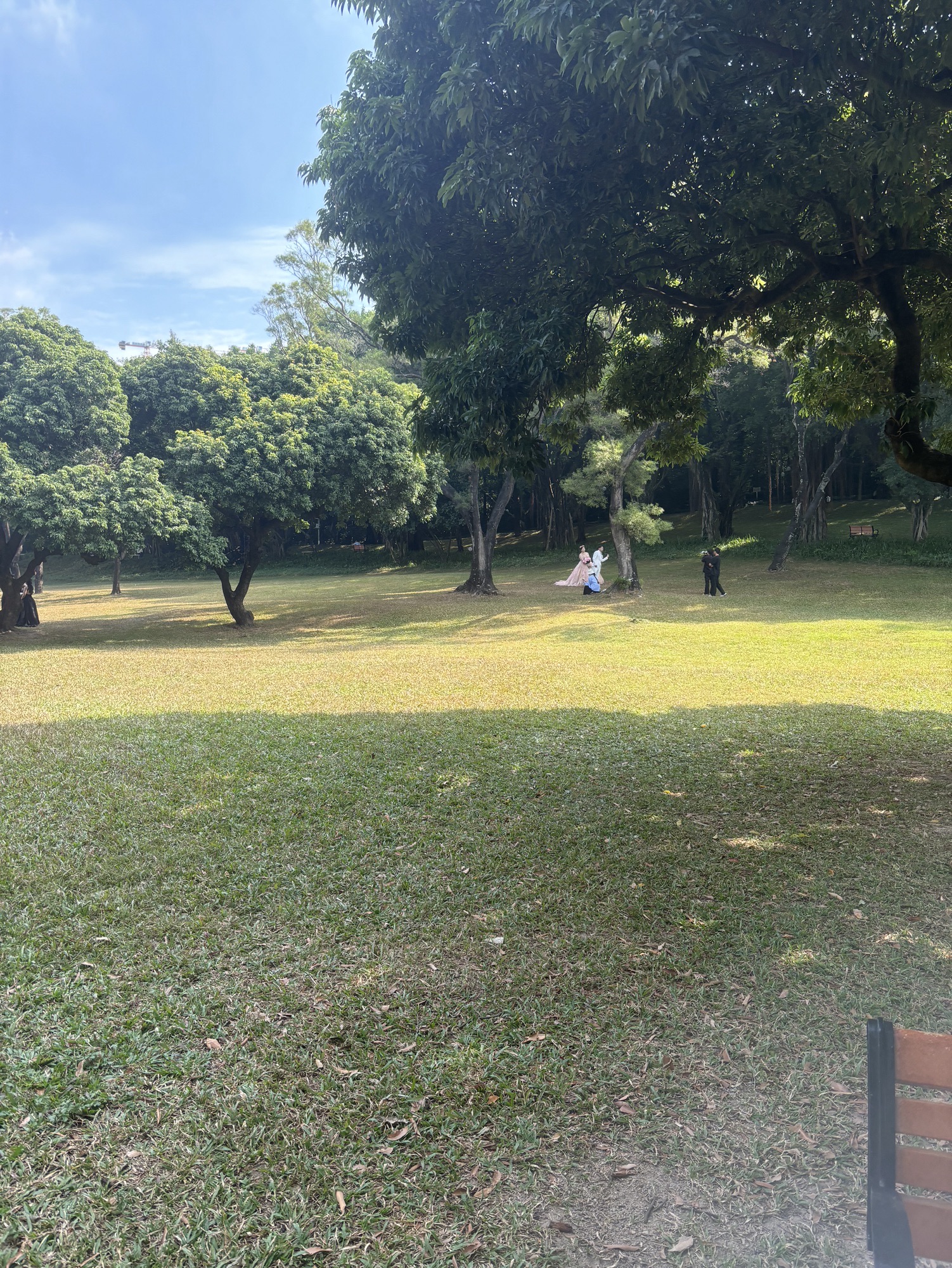 中山公园旅行图片 2