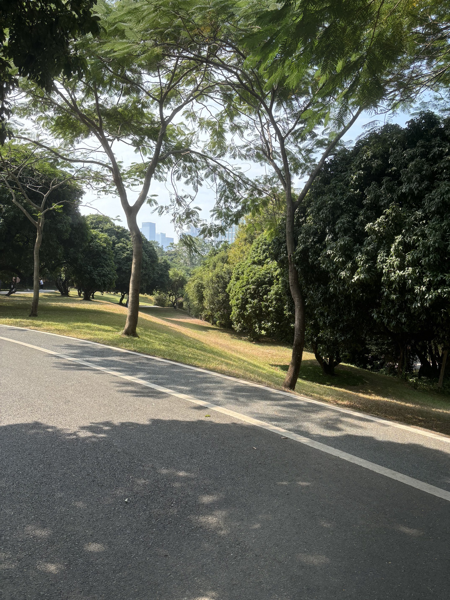 中山公园旅行图片 3