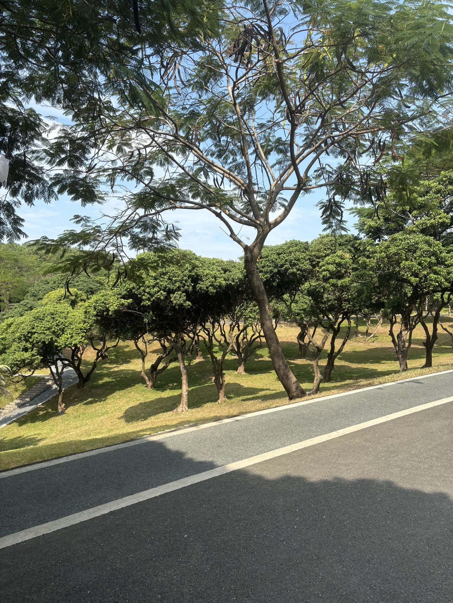 中山公园旅行图片 1