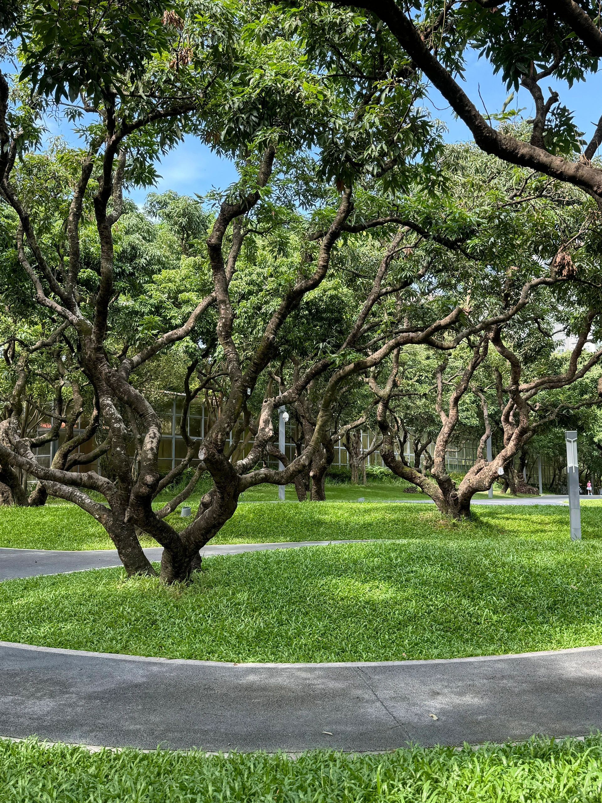 四海公园旅行图片 3