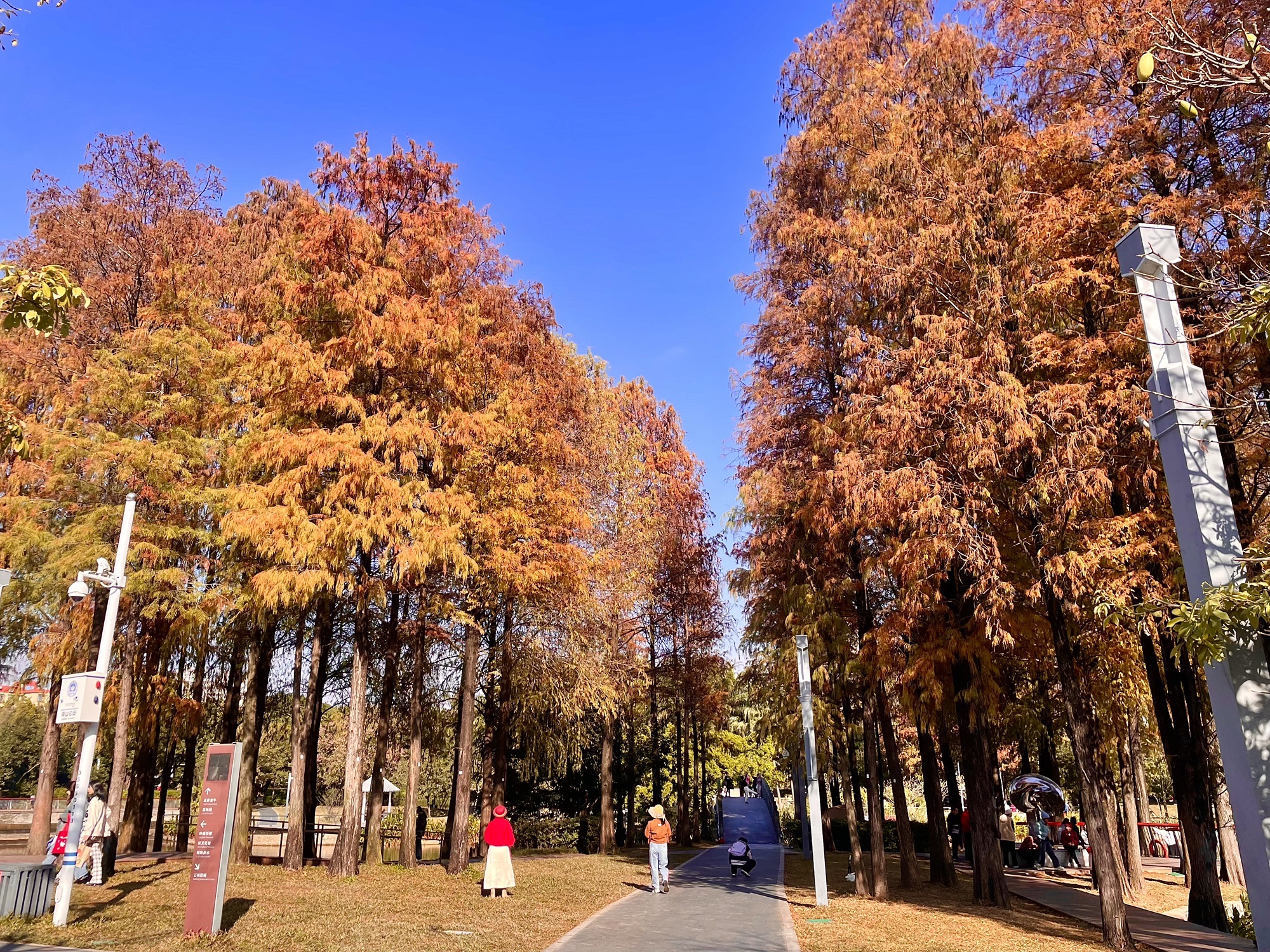 四海公园旅行图片 1