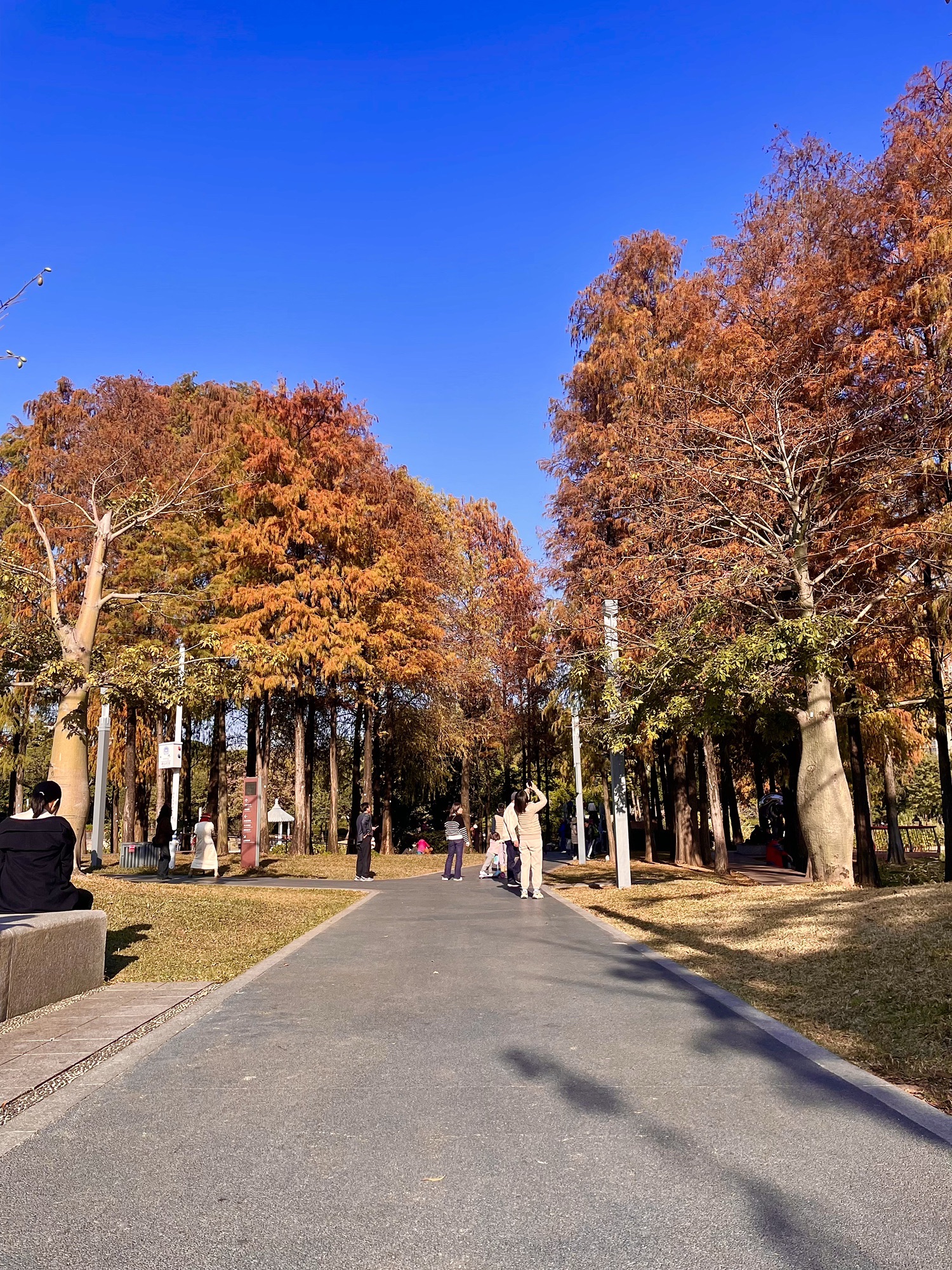 四海公园旅行图片 2