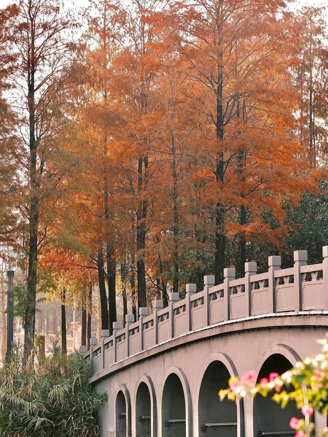 四海公园旅行图片 1