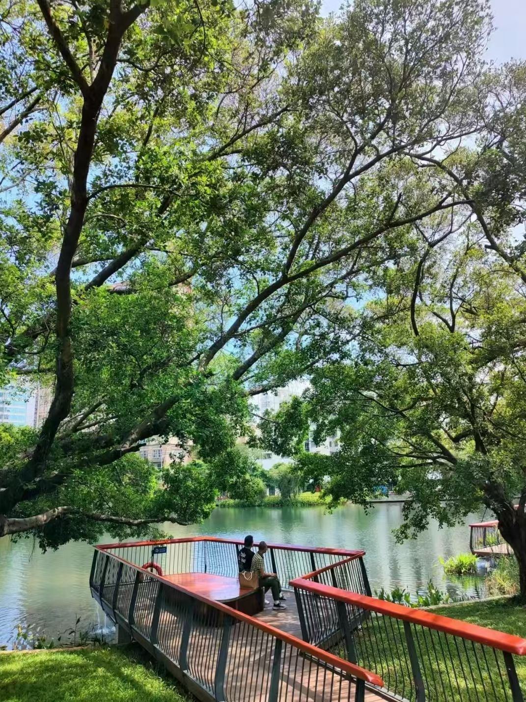 四海公园旅行图片 3