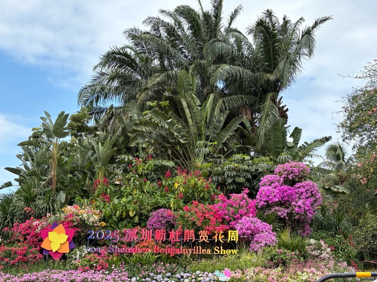 莲花山公园旅行图片 3