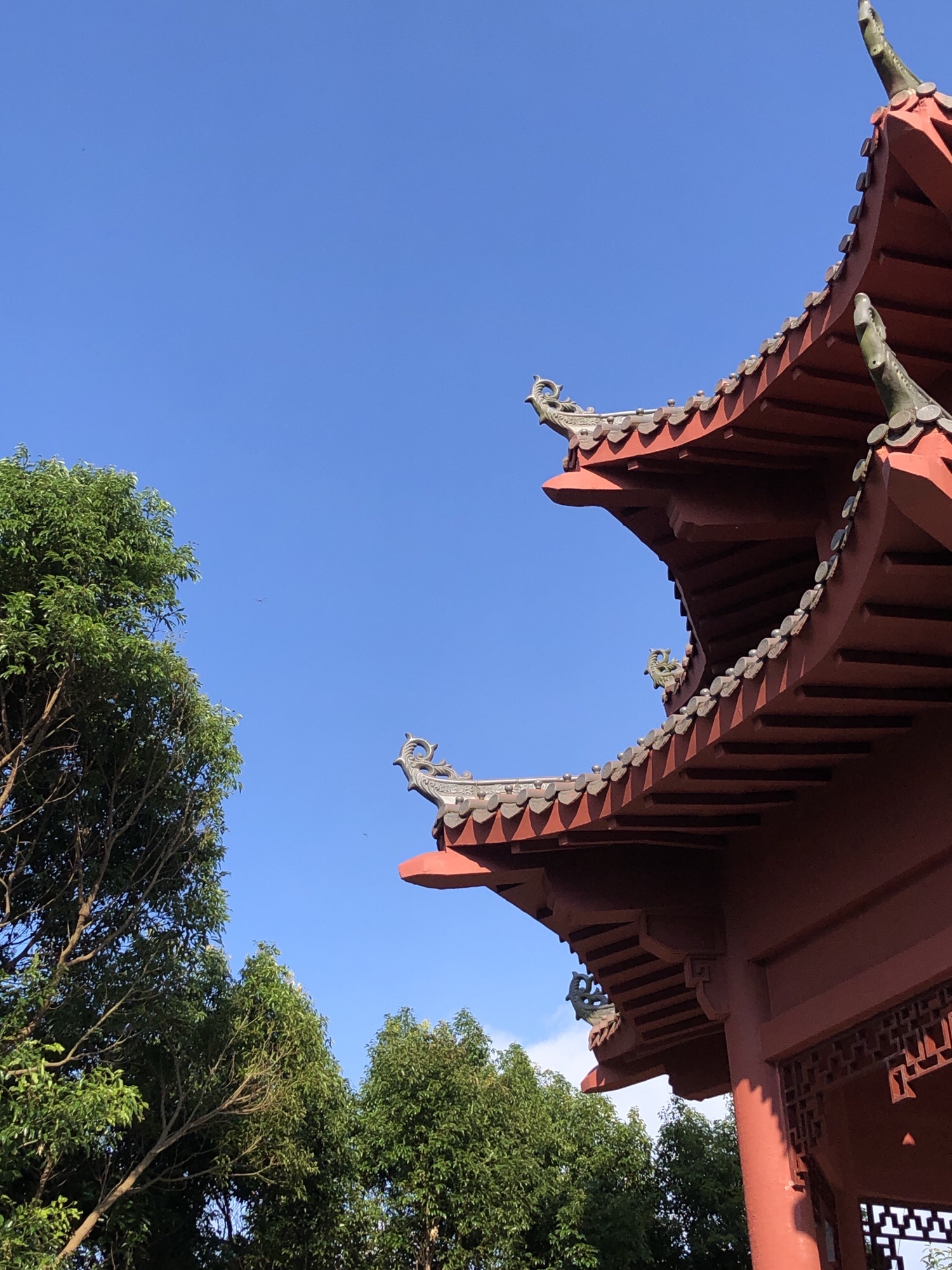 莲花山公园旅行图片 3