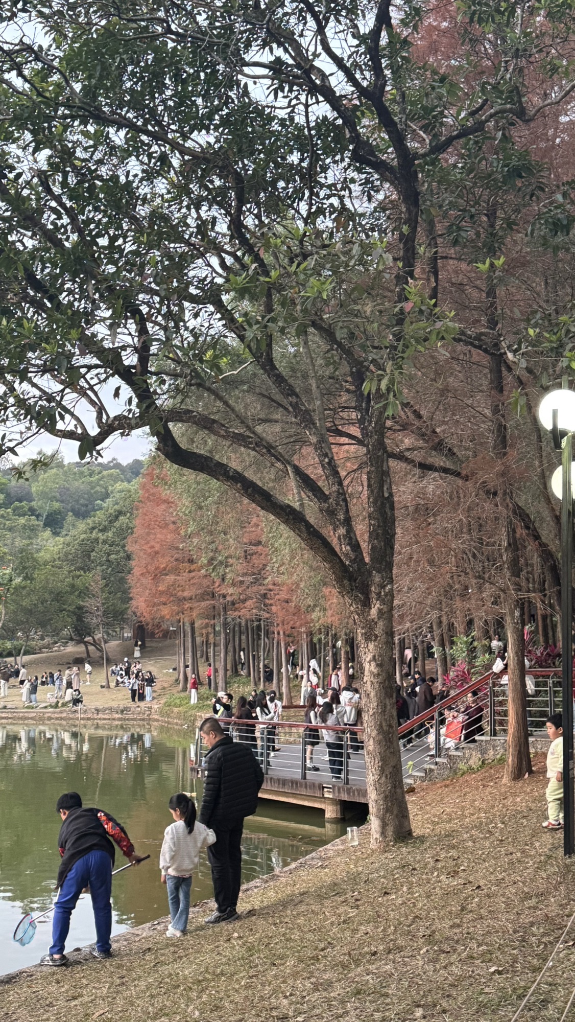 莲花山公园旅行图片 3