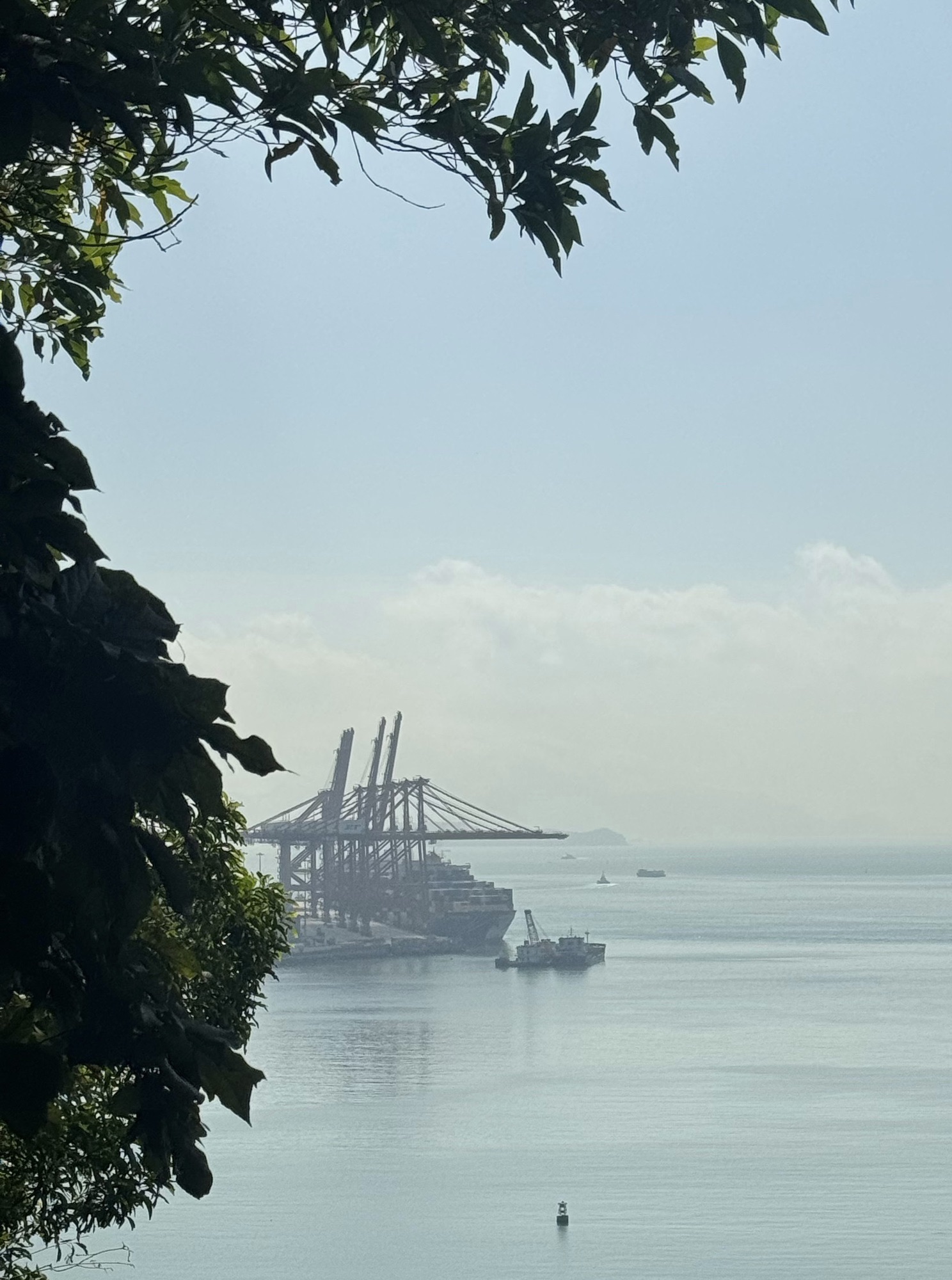 赤湾左炮台旅行图片 3