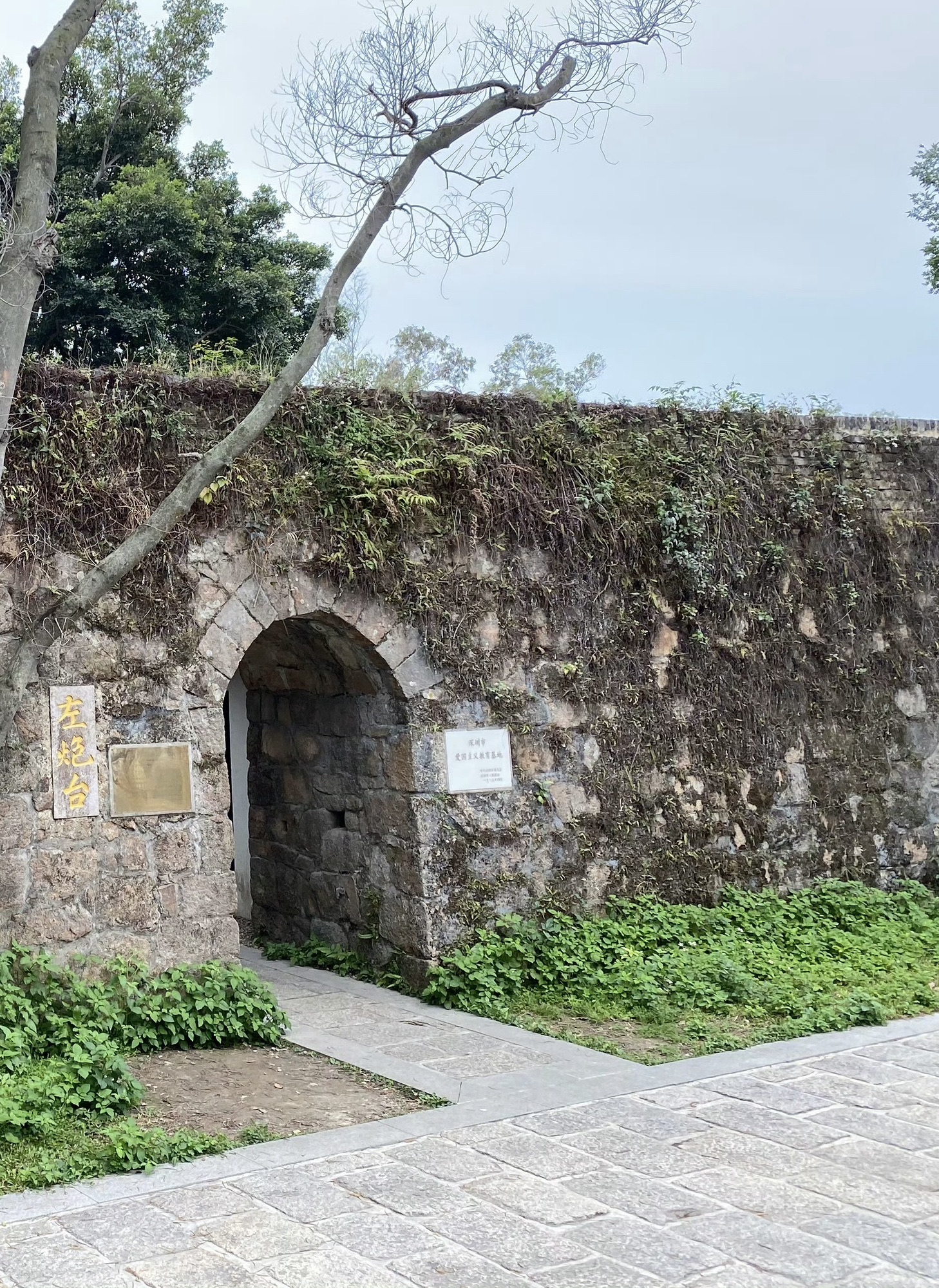 赤湾左炮台旅行图片 3