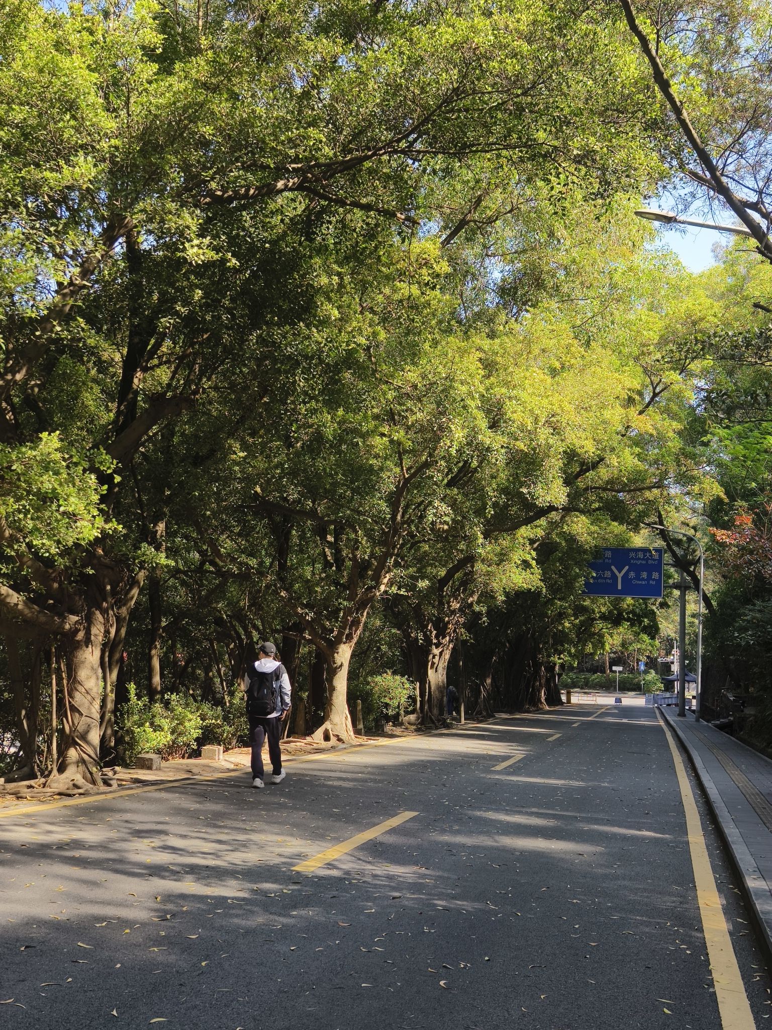 赤湾左炮台旅行图片 1