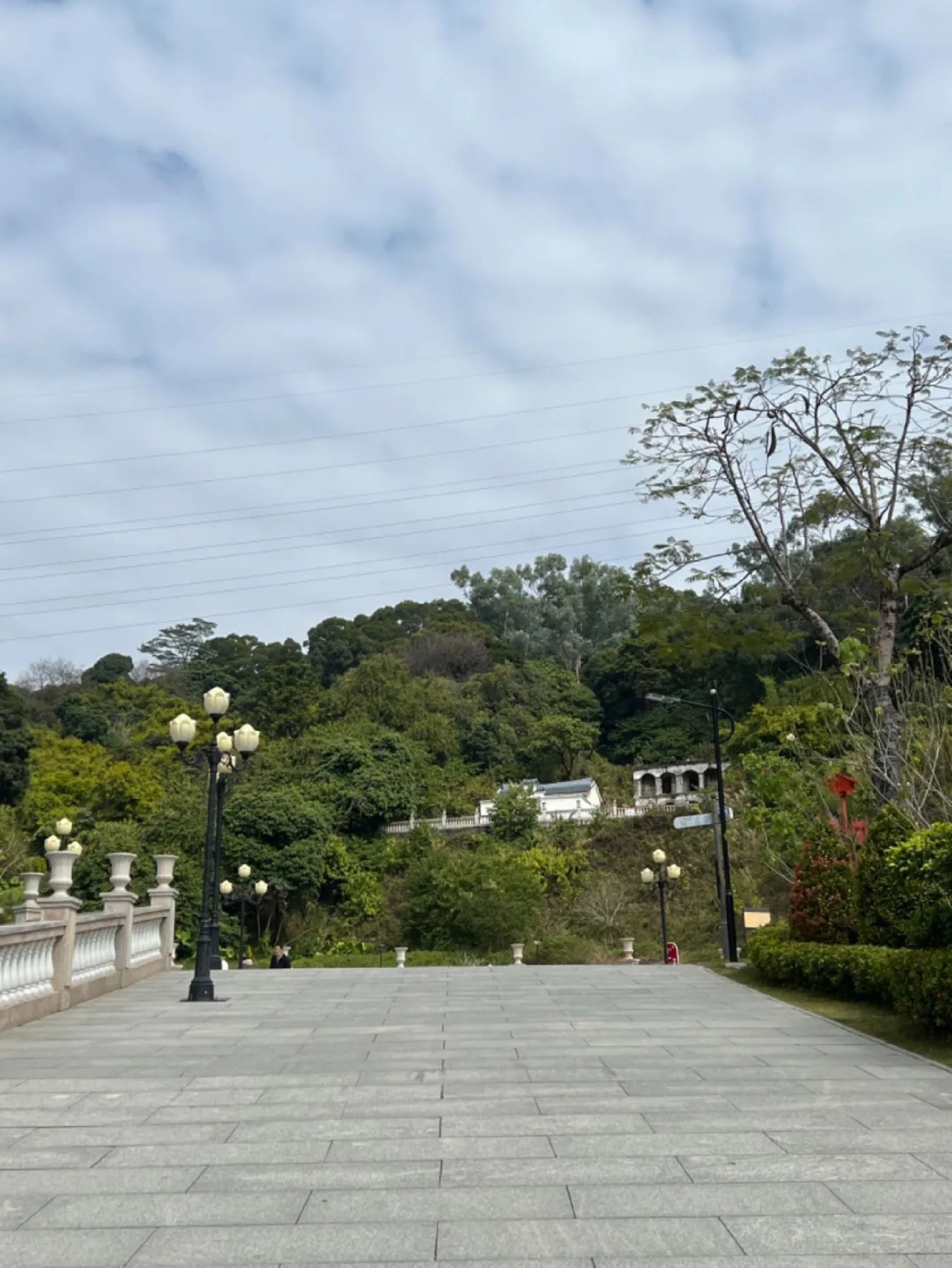 凤凰山国家矿山公园旅行图片 1