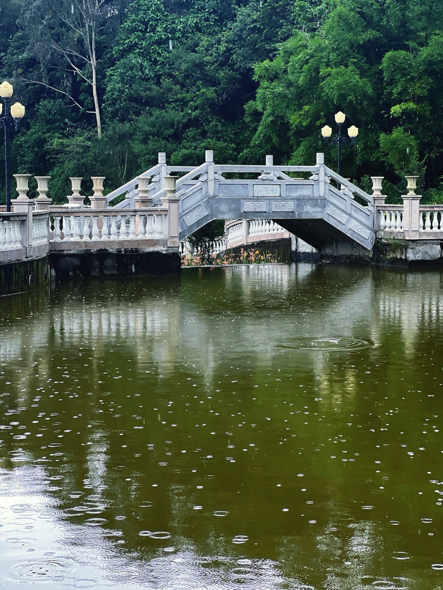 凤凰山国家矿山公园旅行图片 1