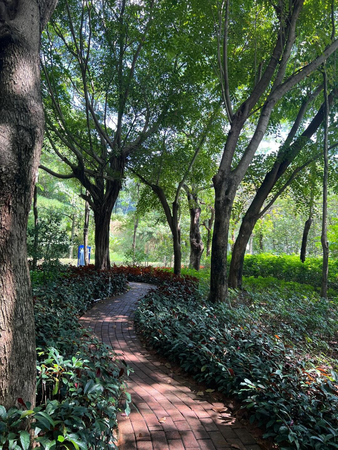 凤凰山国家矿山公园旅行图片 2