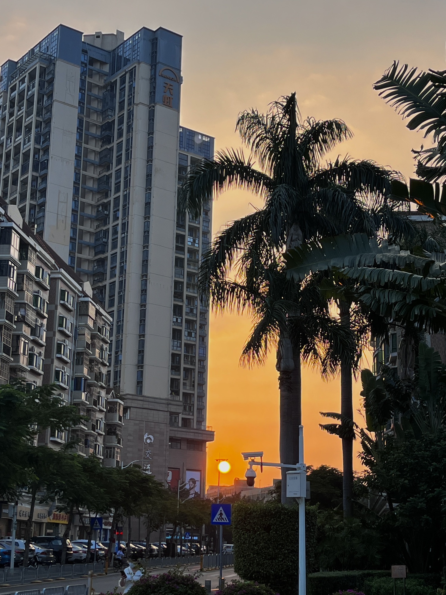 横岗文体中心旅行图片 3