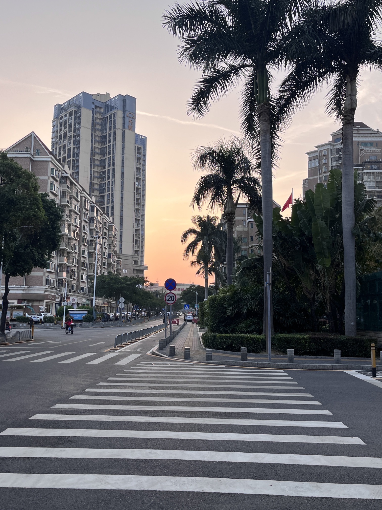 横岗文体中心旅行图片 1