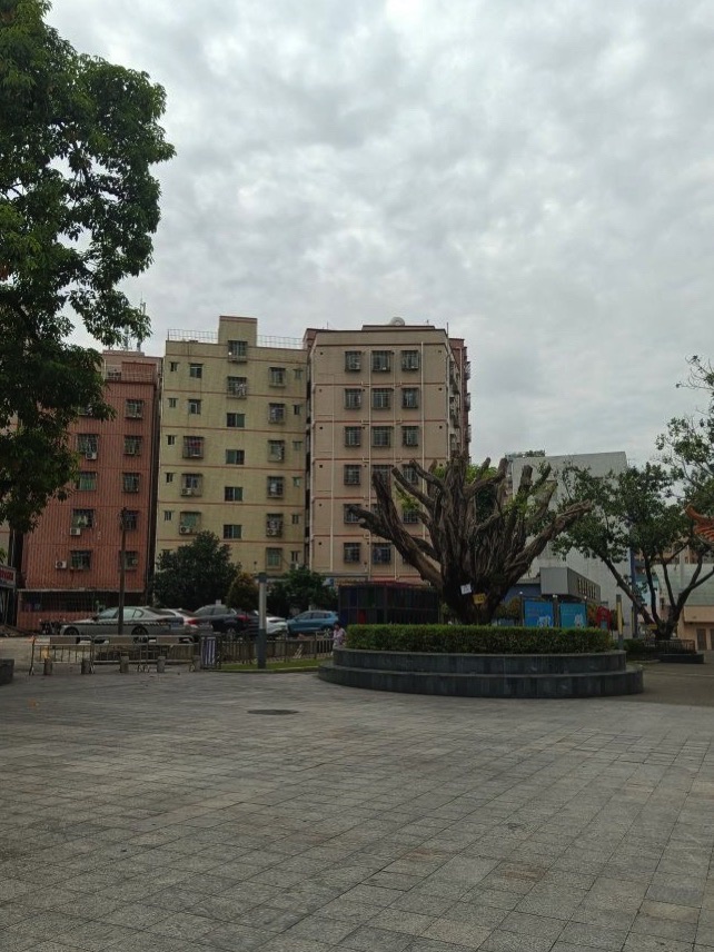 西田公园旅行图片 2