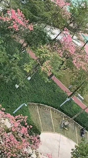 西田公园旅行图片 2