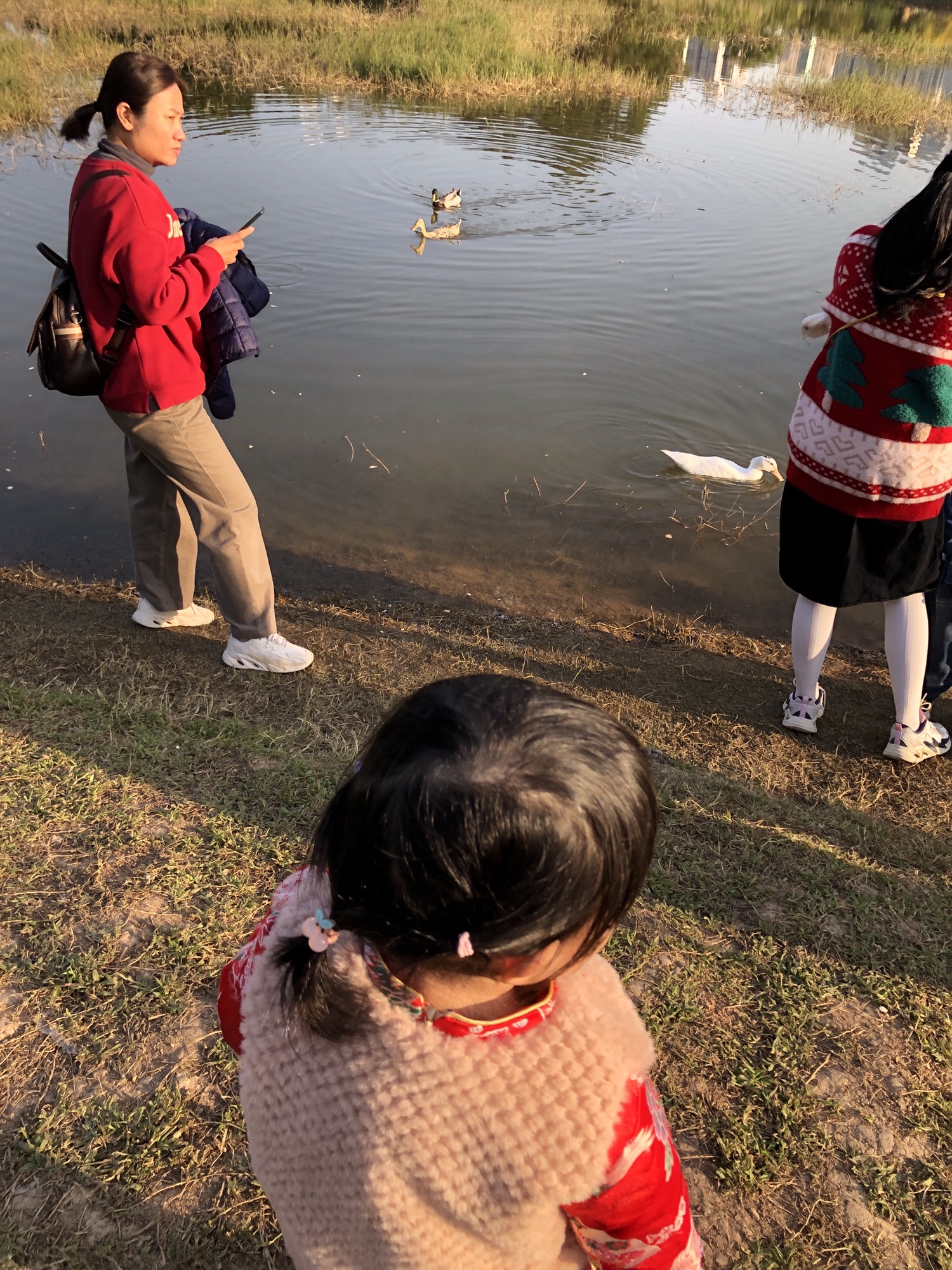 笔架山公园旅行图片 3