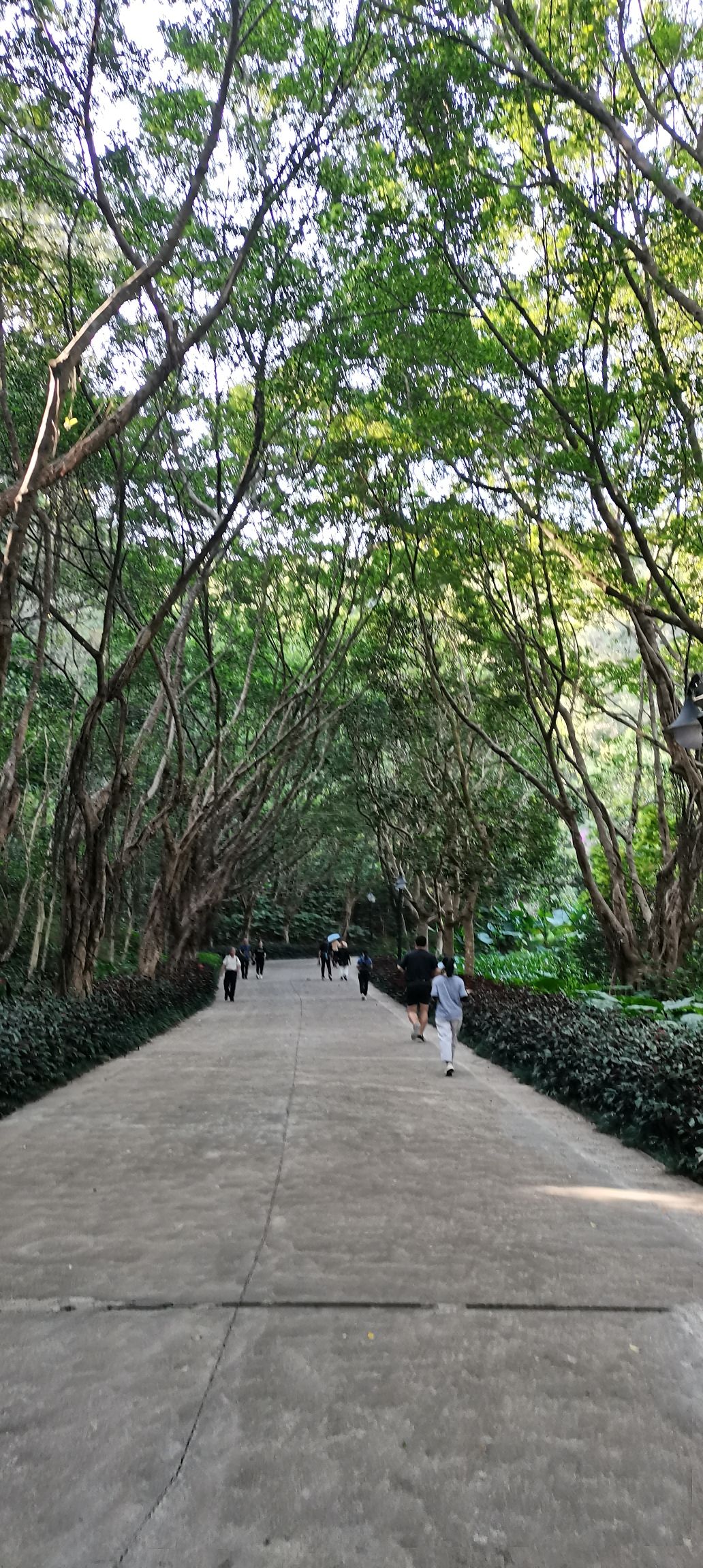 笔架山公园旅行图片 2
