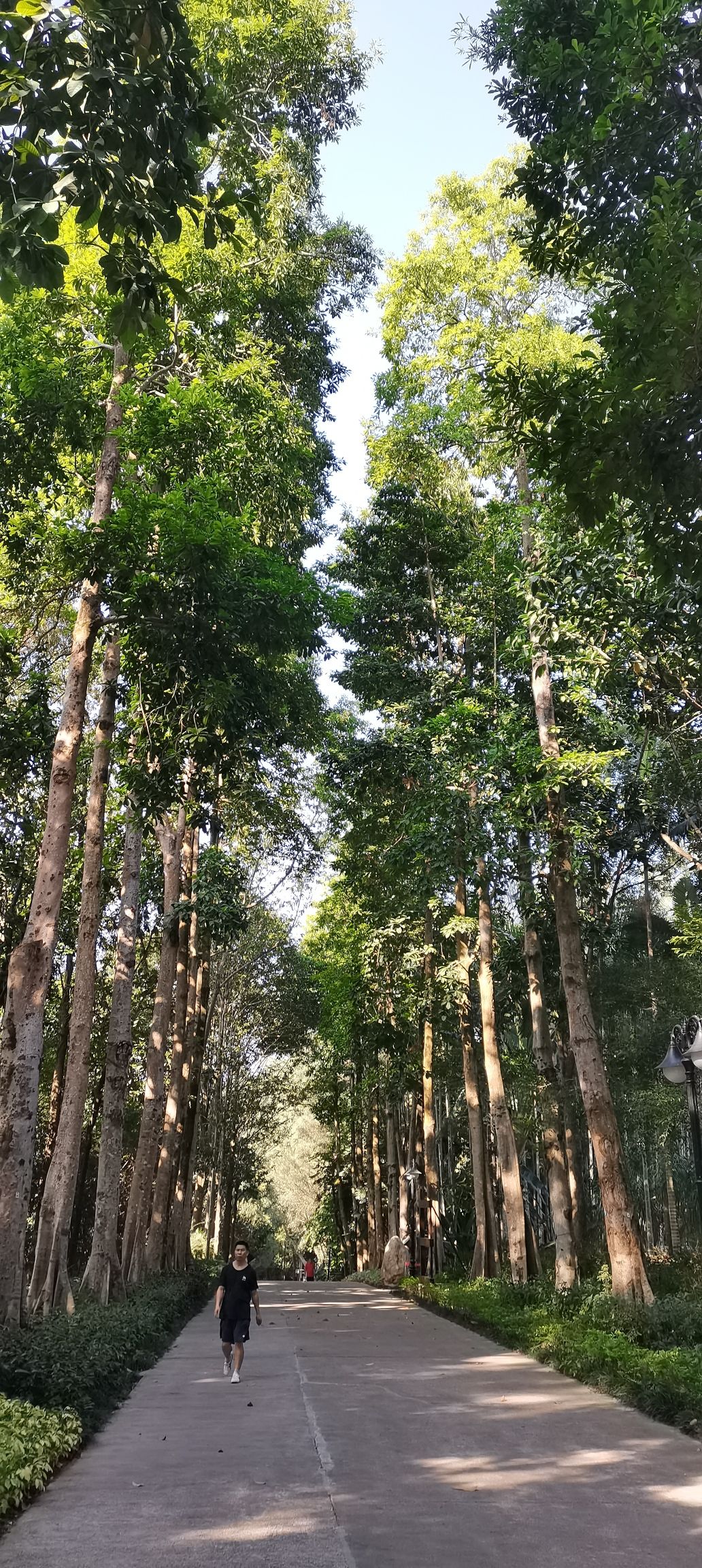 笔架山公园旅行图片 3
