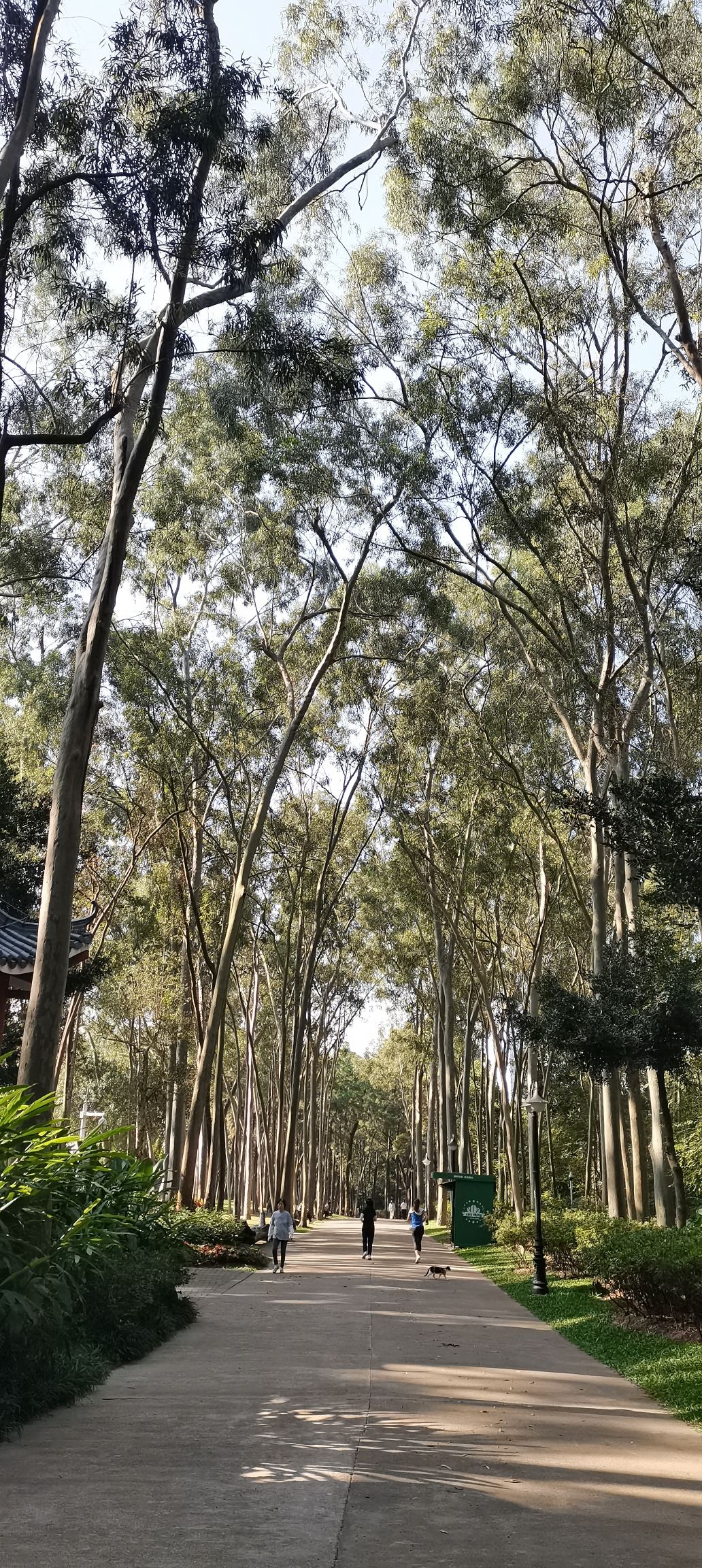 笔架山公园旅行图片 1