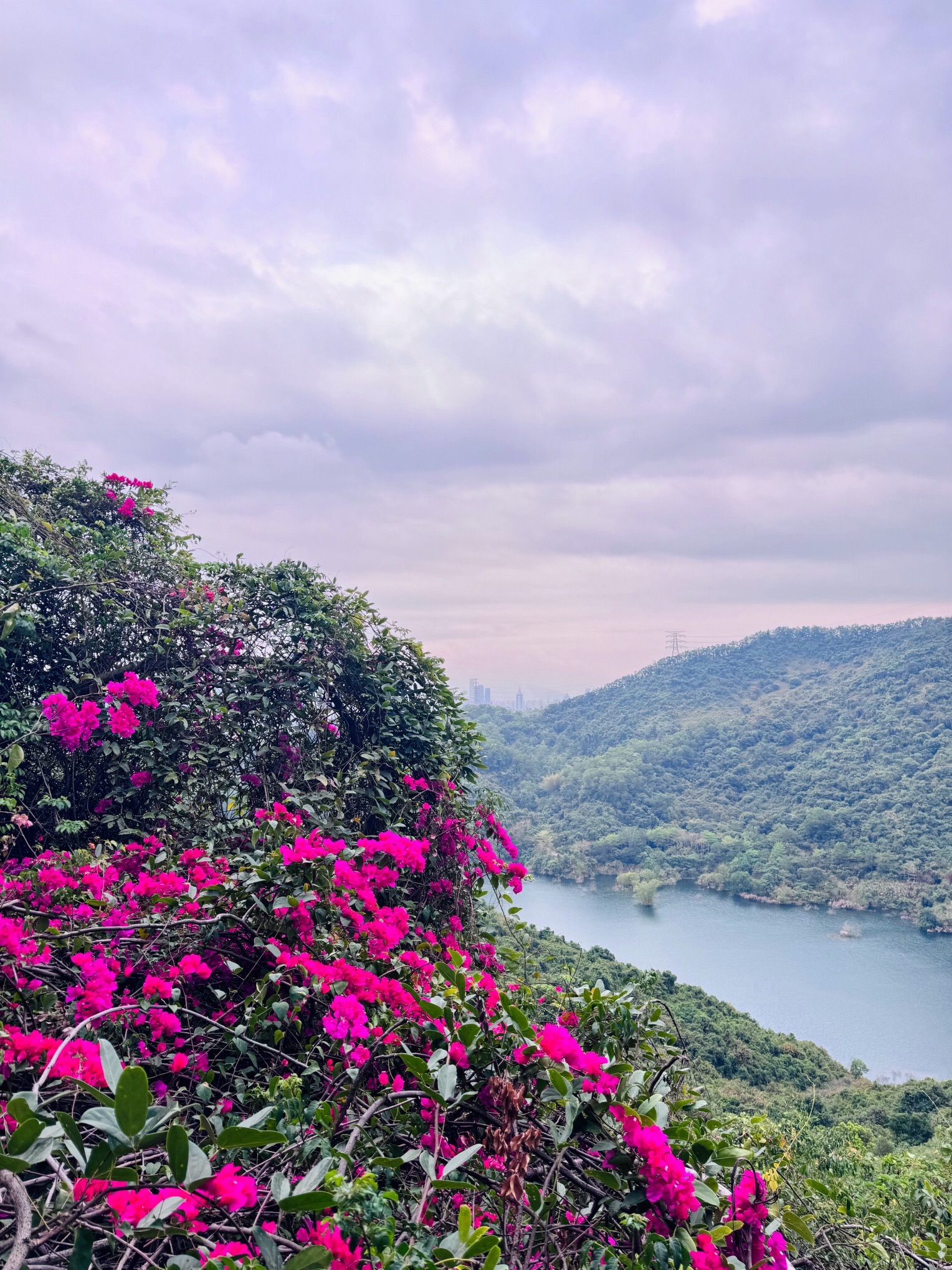 塘朗山公园旅行图片 2