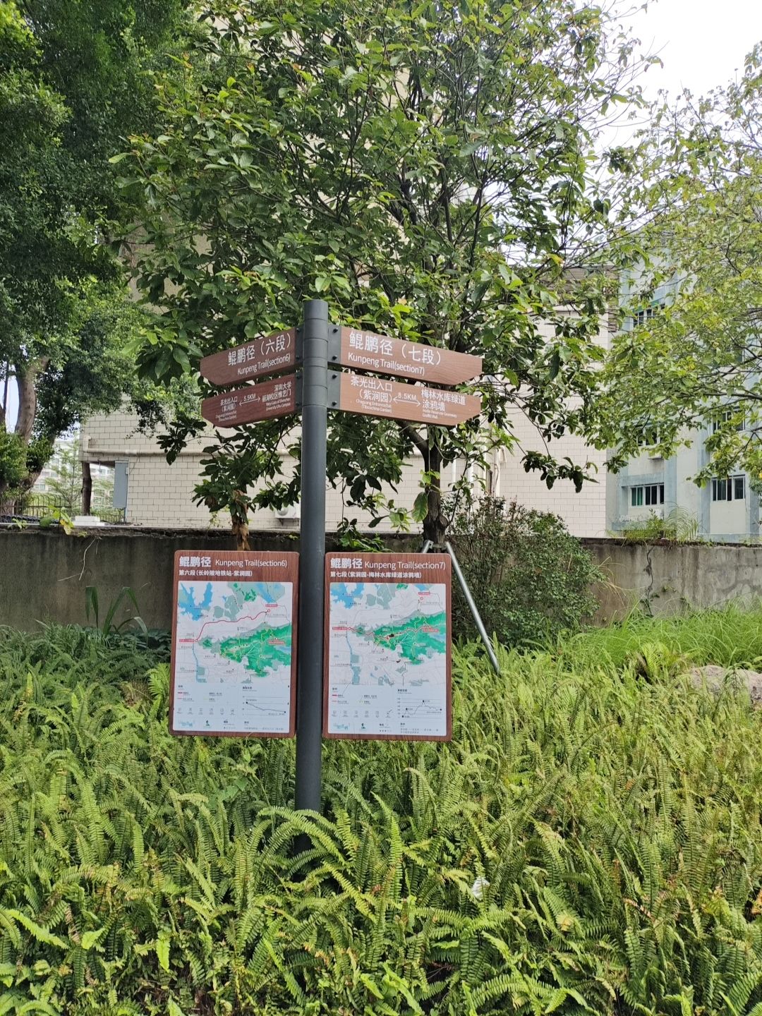 塘朗山公园旅行图片 1