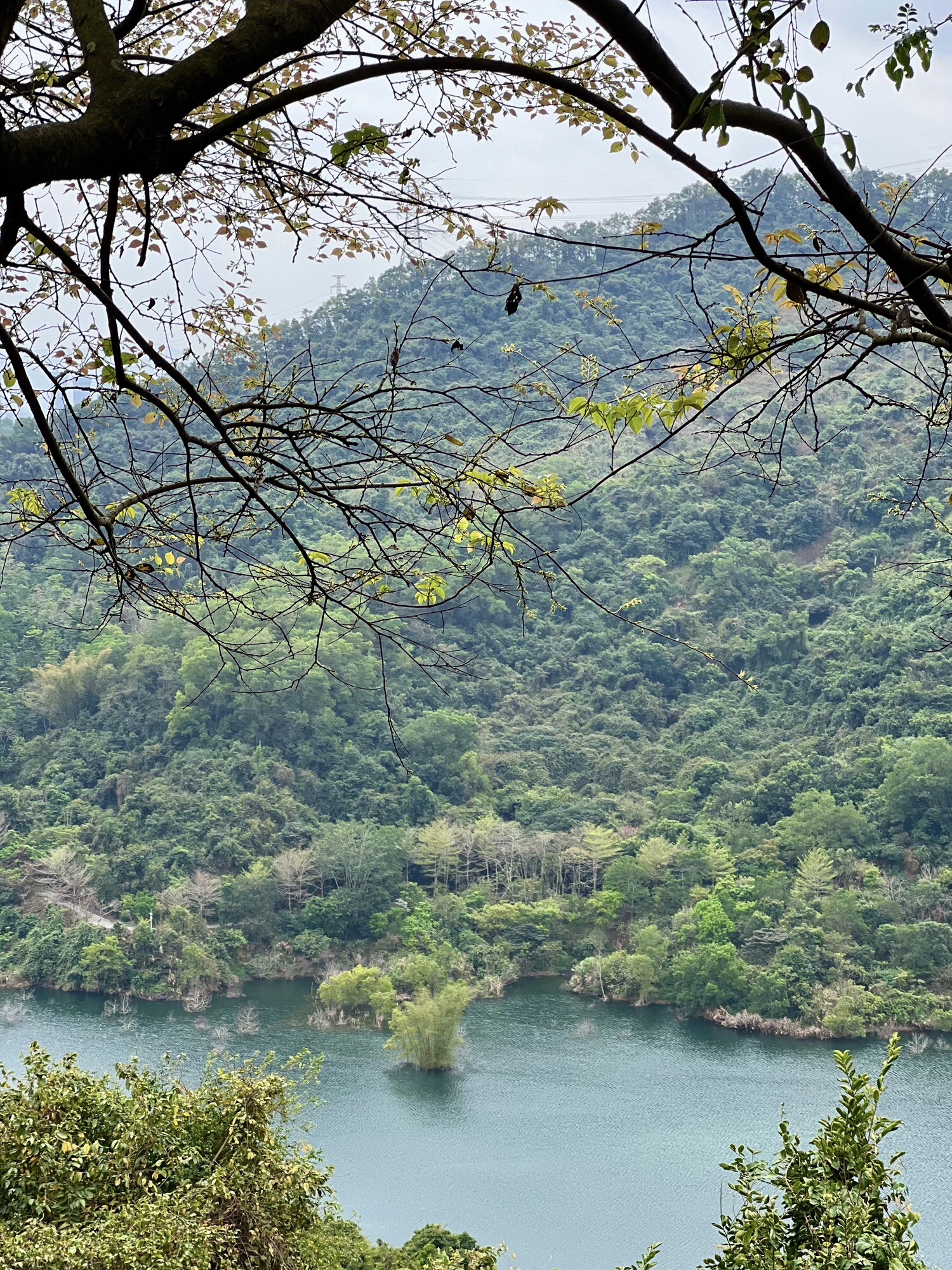 塘朗山公园旅行图片 3