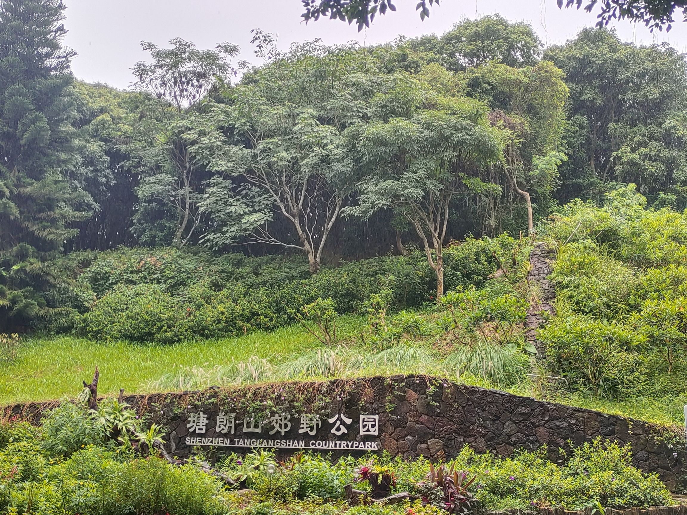 塘朗山公园旅行图片 1