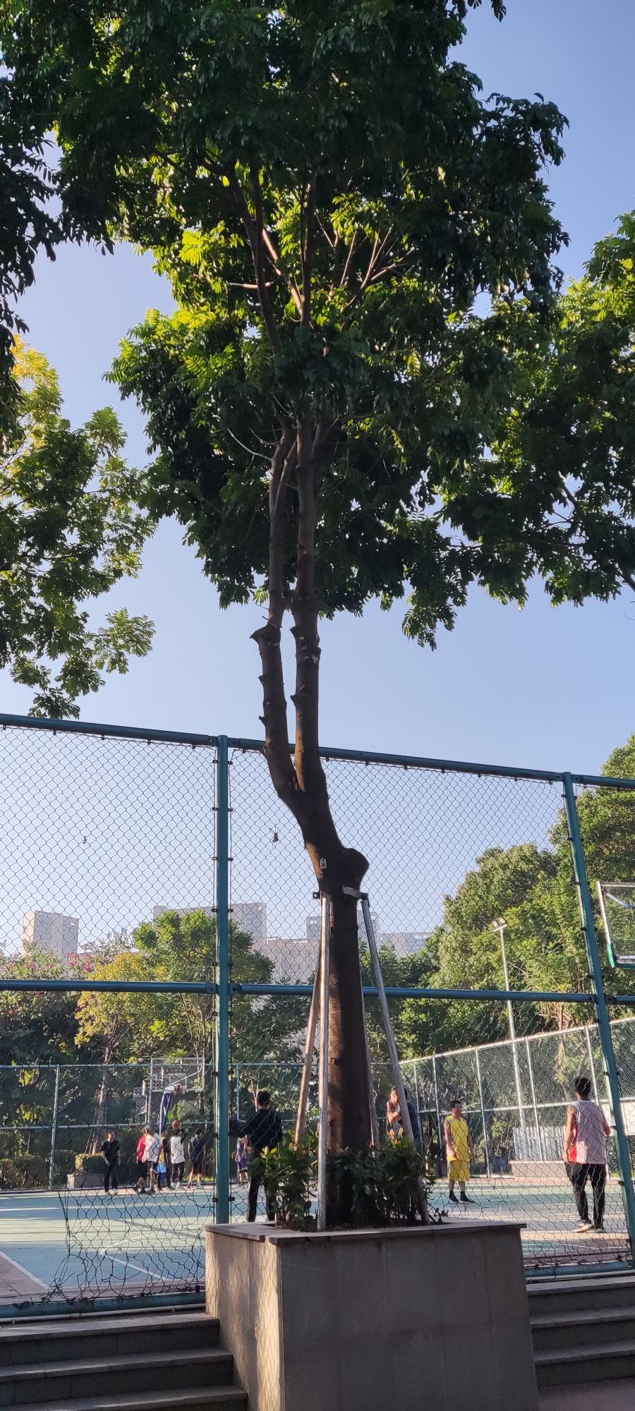 大钟山公园旅行图片 2