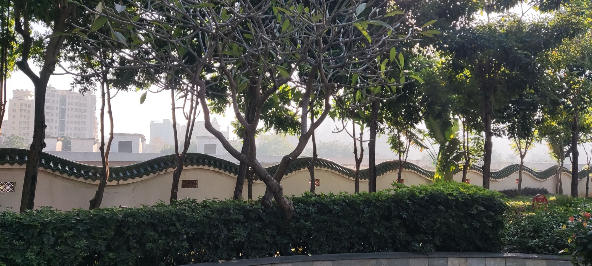 大钟山公园旅行图片 1