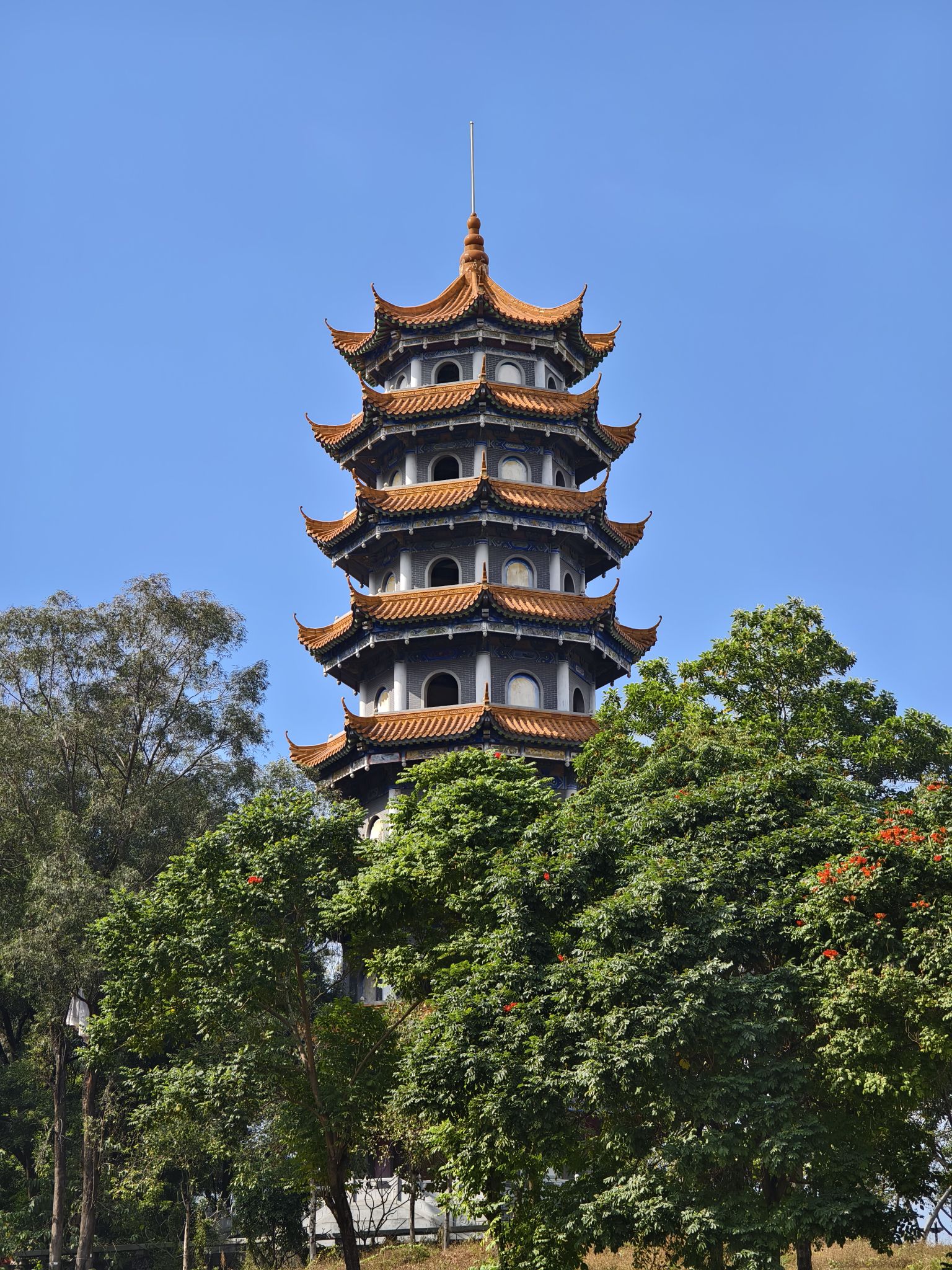 大钟山公园旅行图片 1