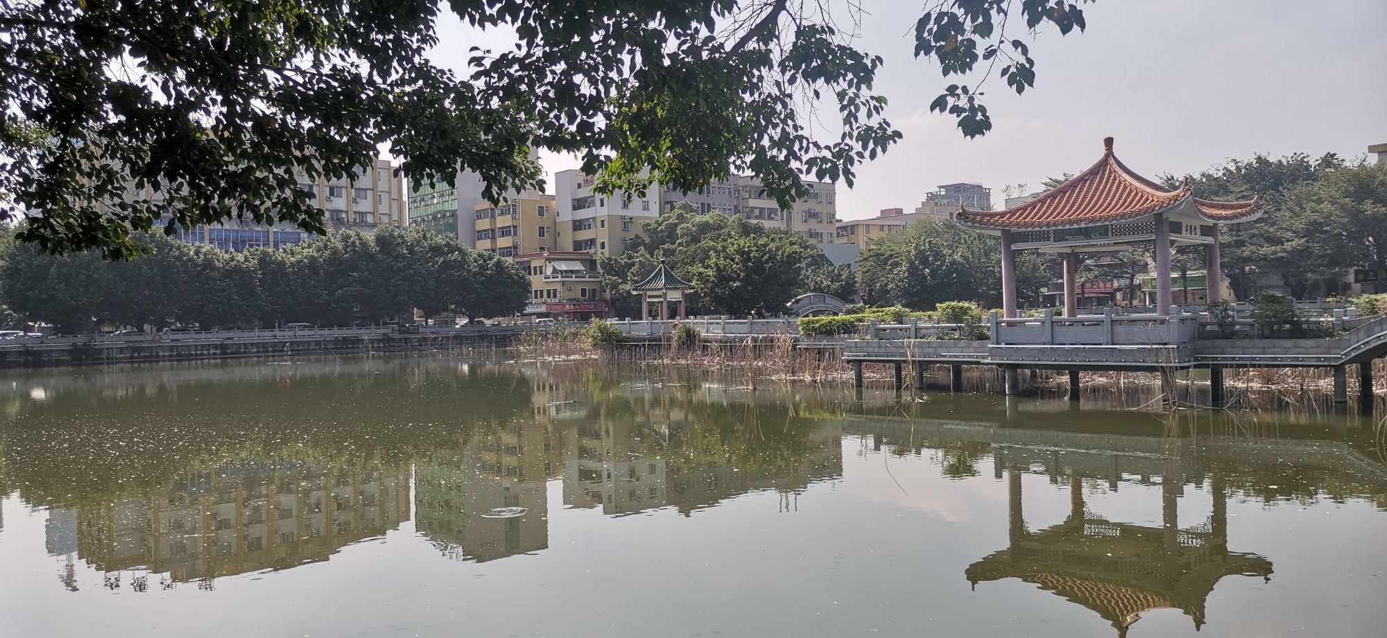坣岗公园旅行图片 2
