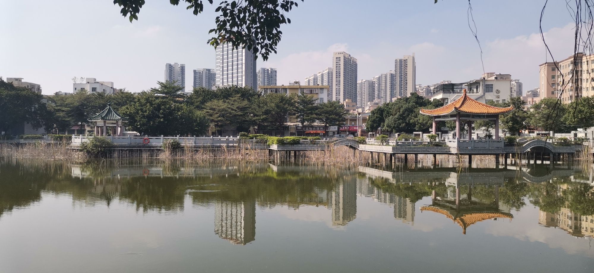 坣岗公园旅行图片 1