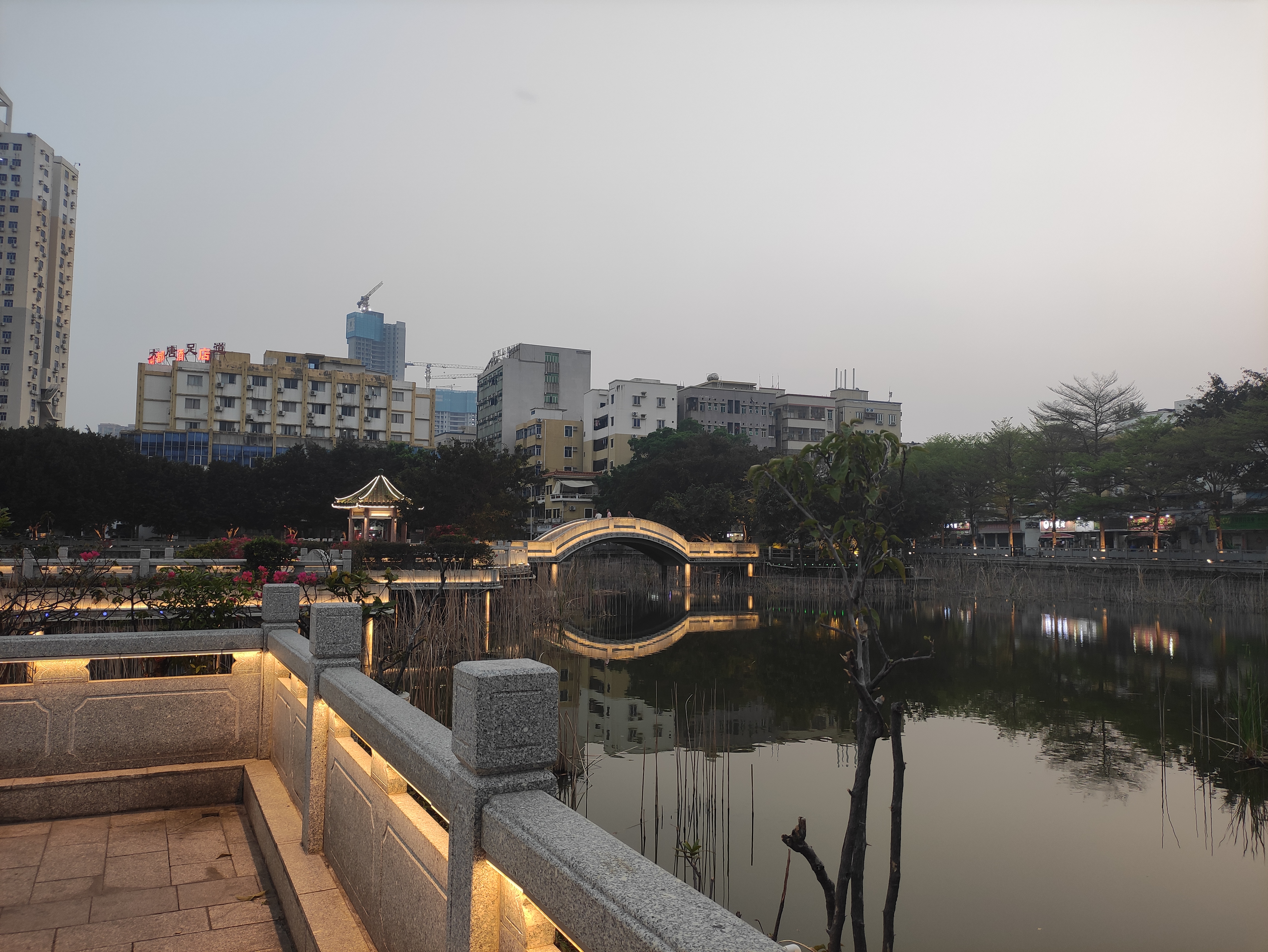 坣岗公园旅行图片 1