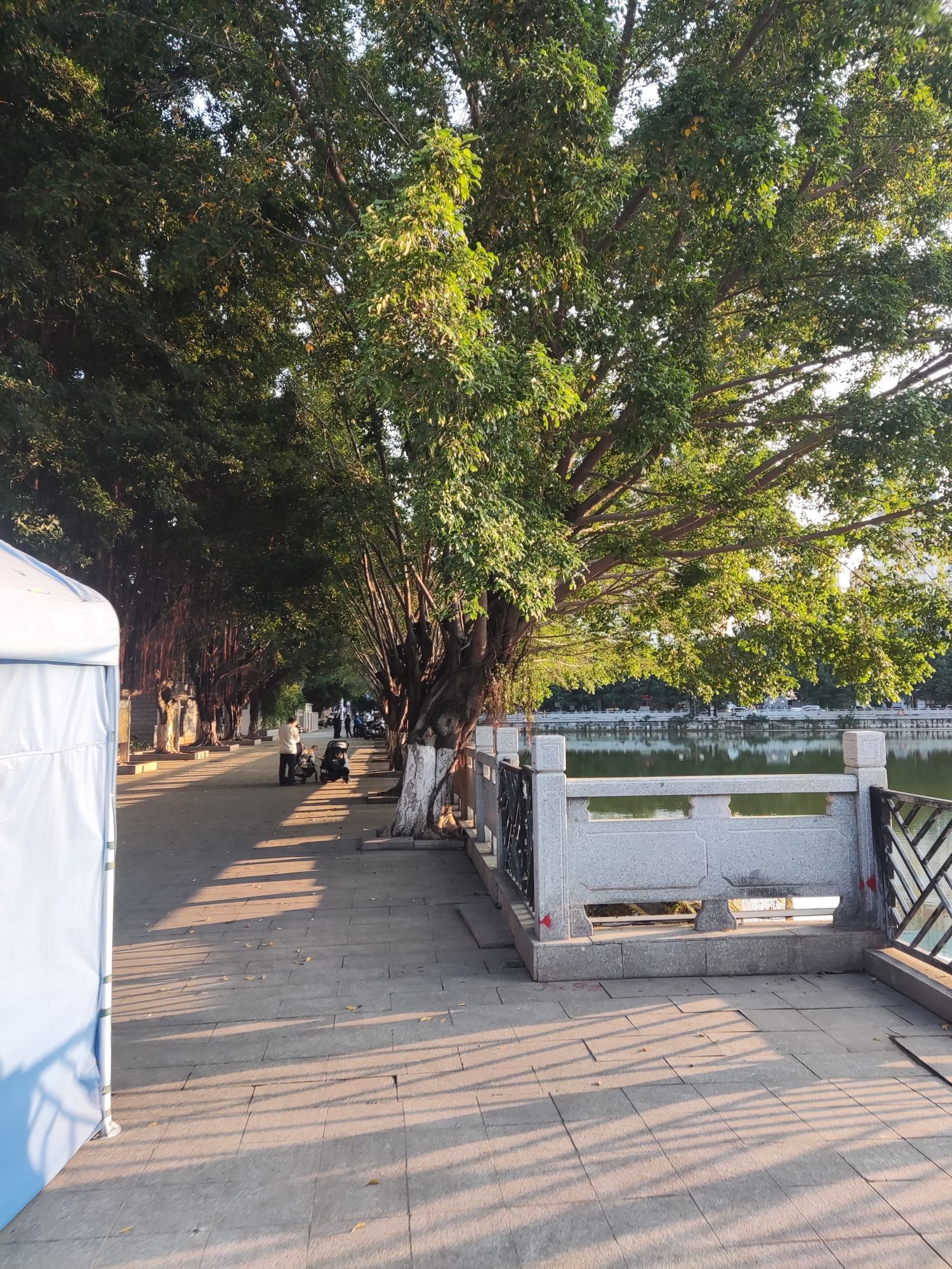 坣岗公园旅行图片 1