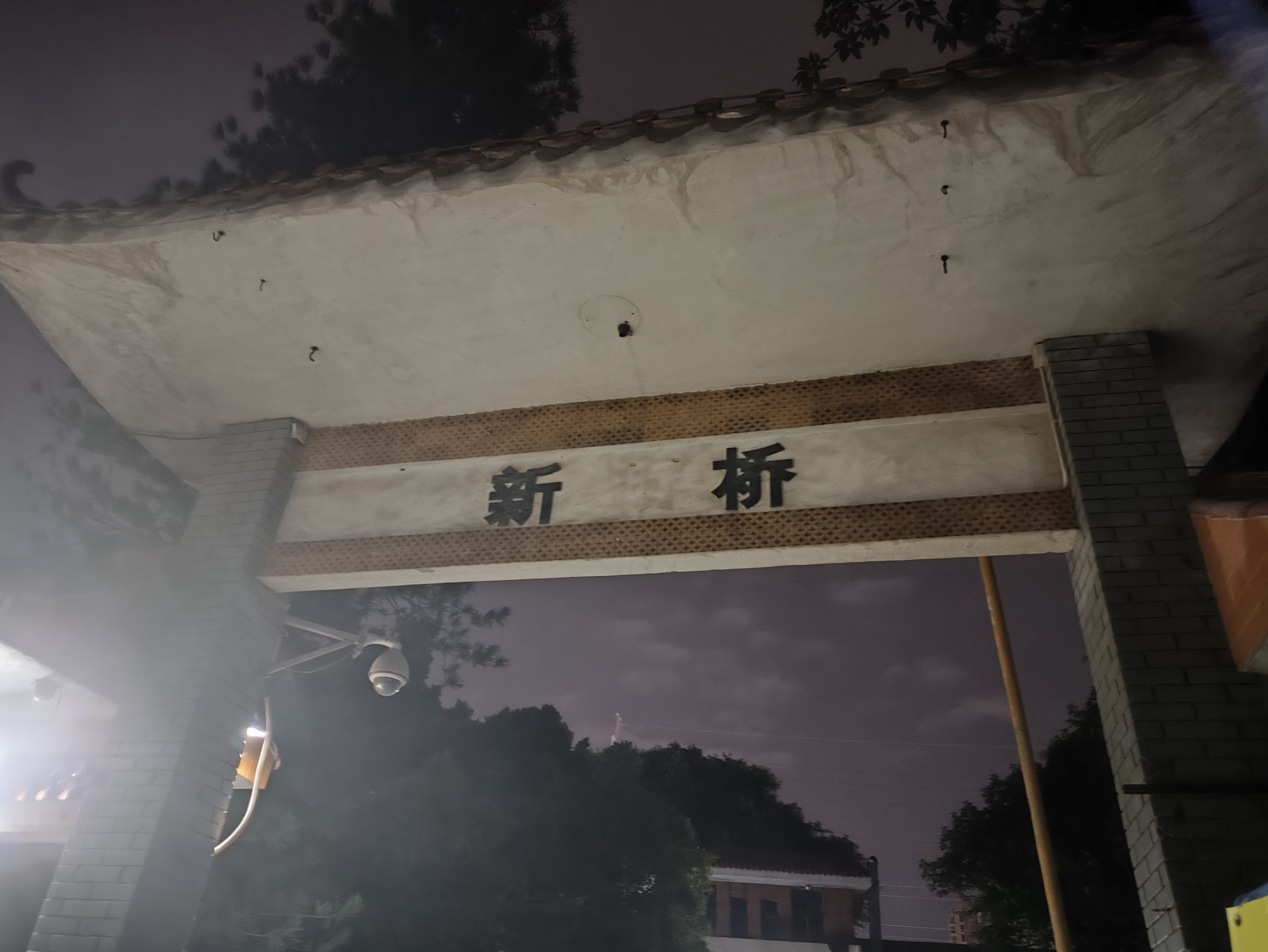 新桥公园旅行图片 1
