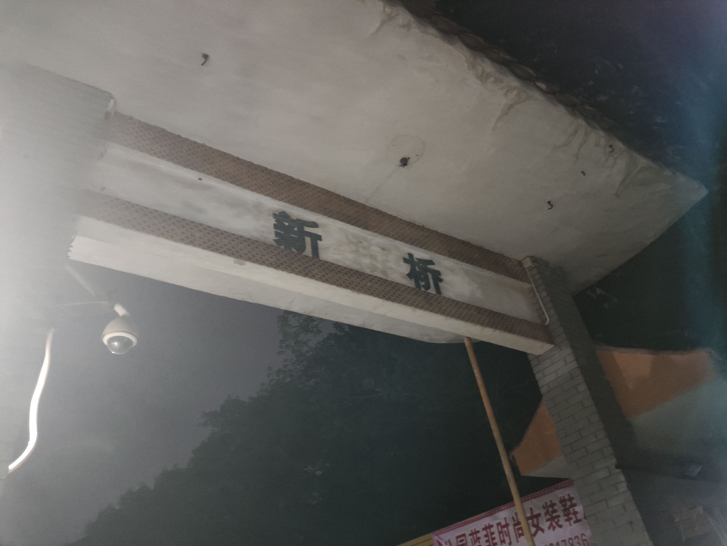 新桥公园旅行图片 2