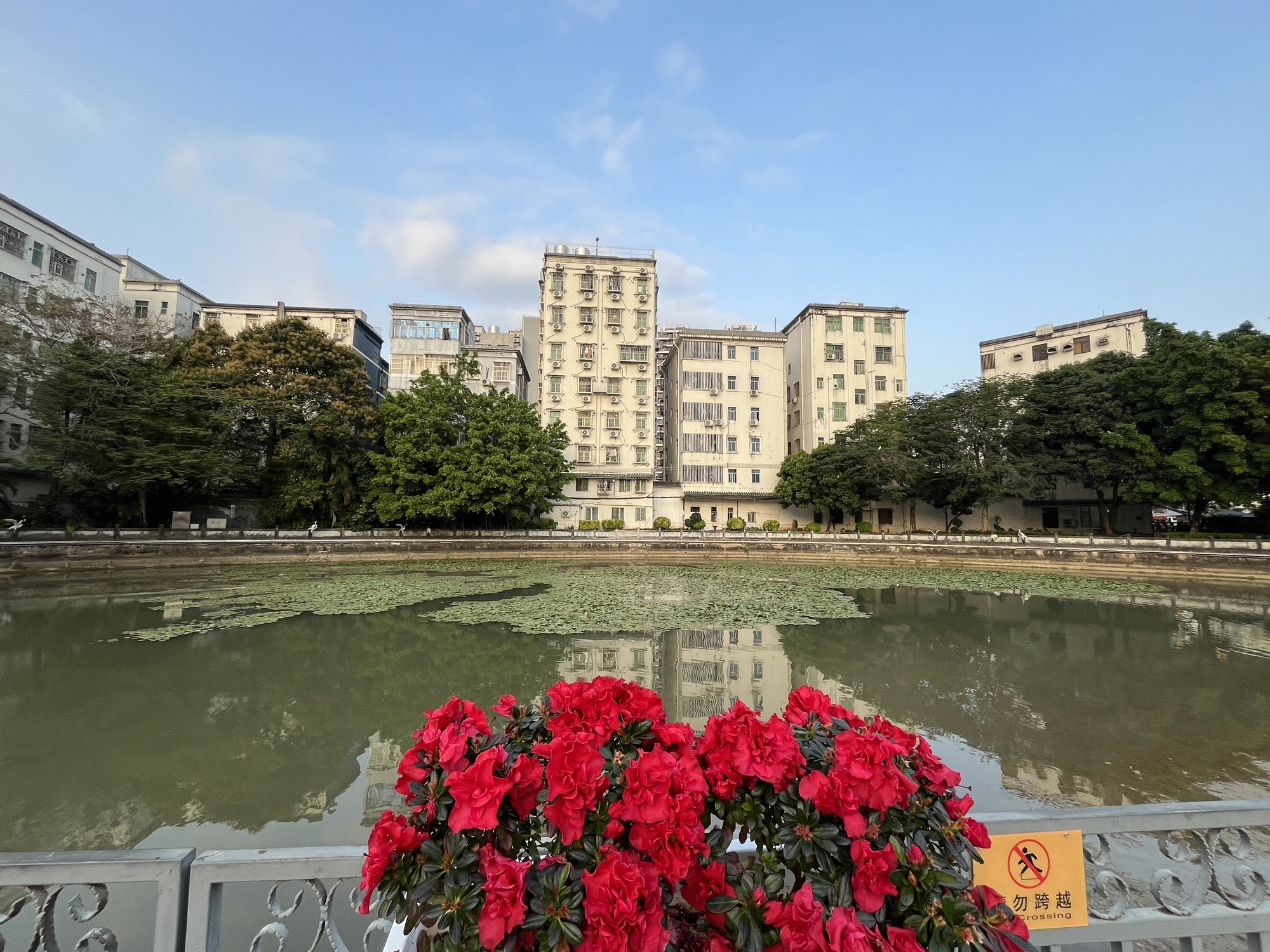 鹤湖新居旅行图片 2