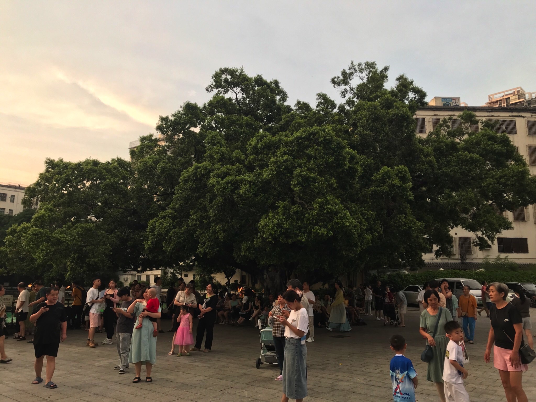 鹤湖新居旅行图片 2