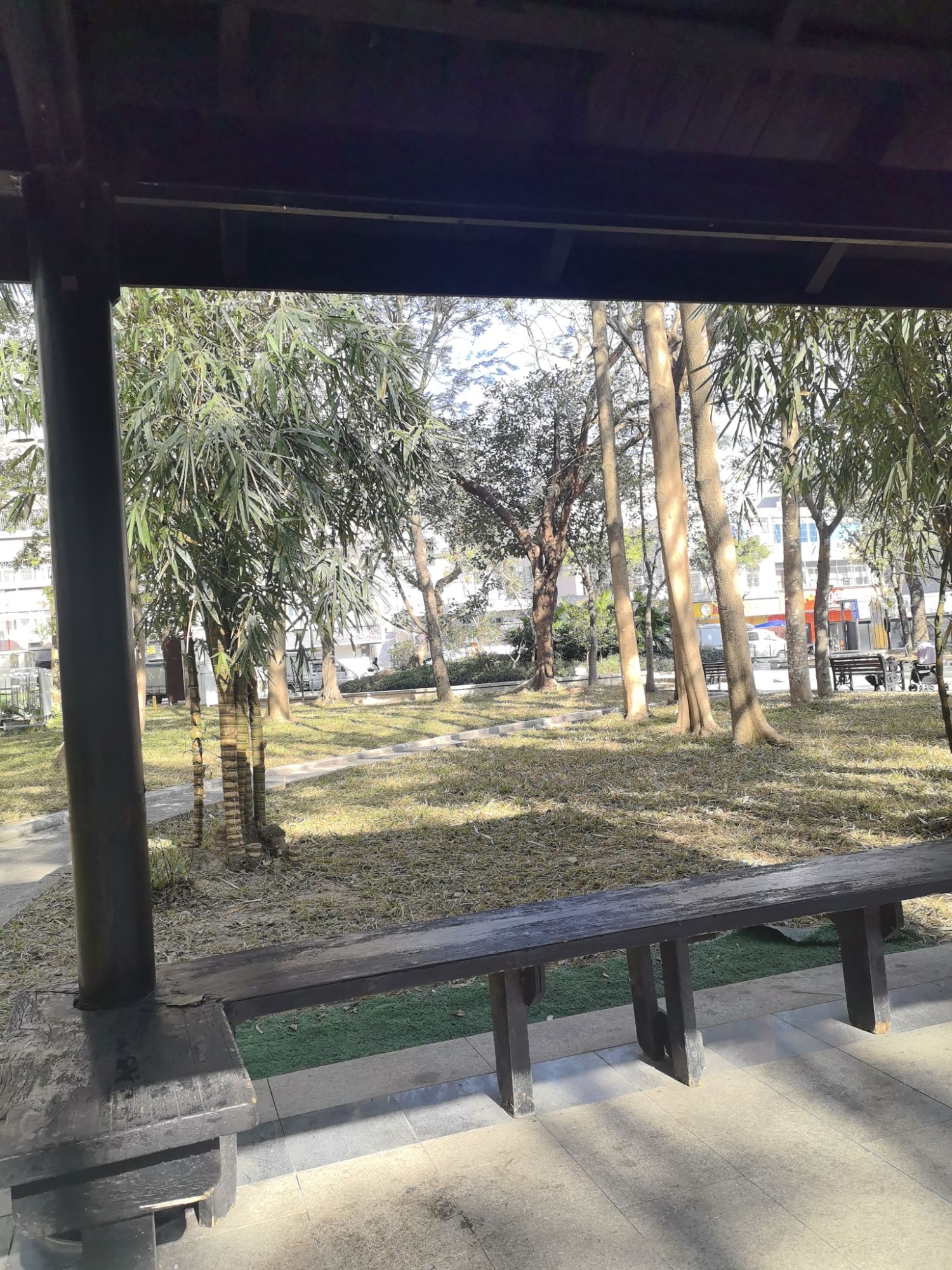 麻磡公园旅行图片 1