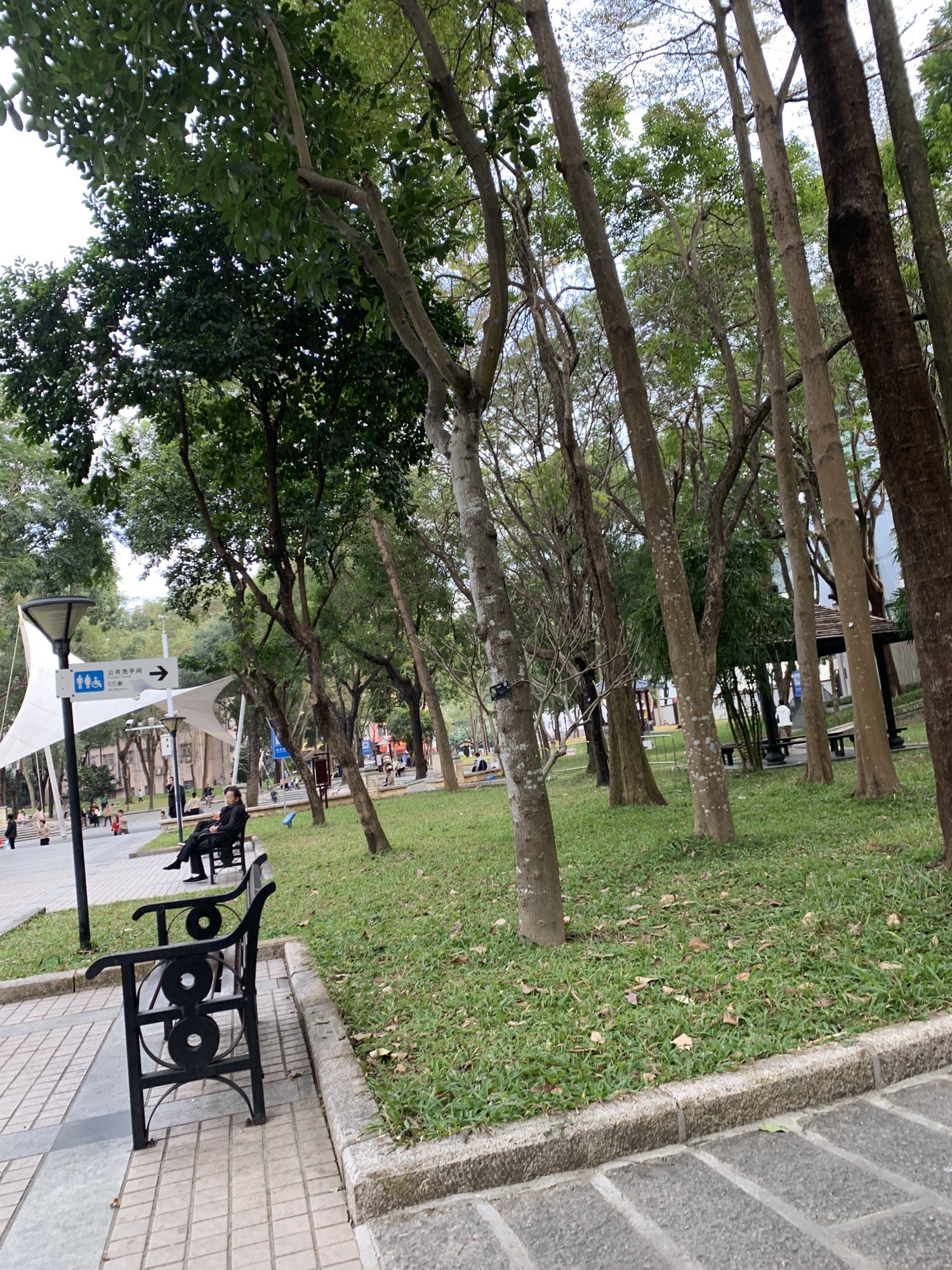 麻磡公园旅行图片 1