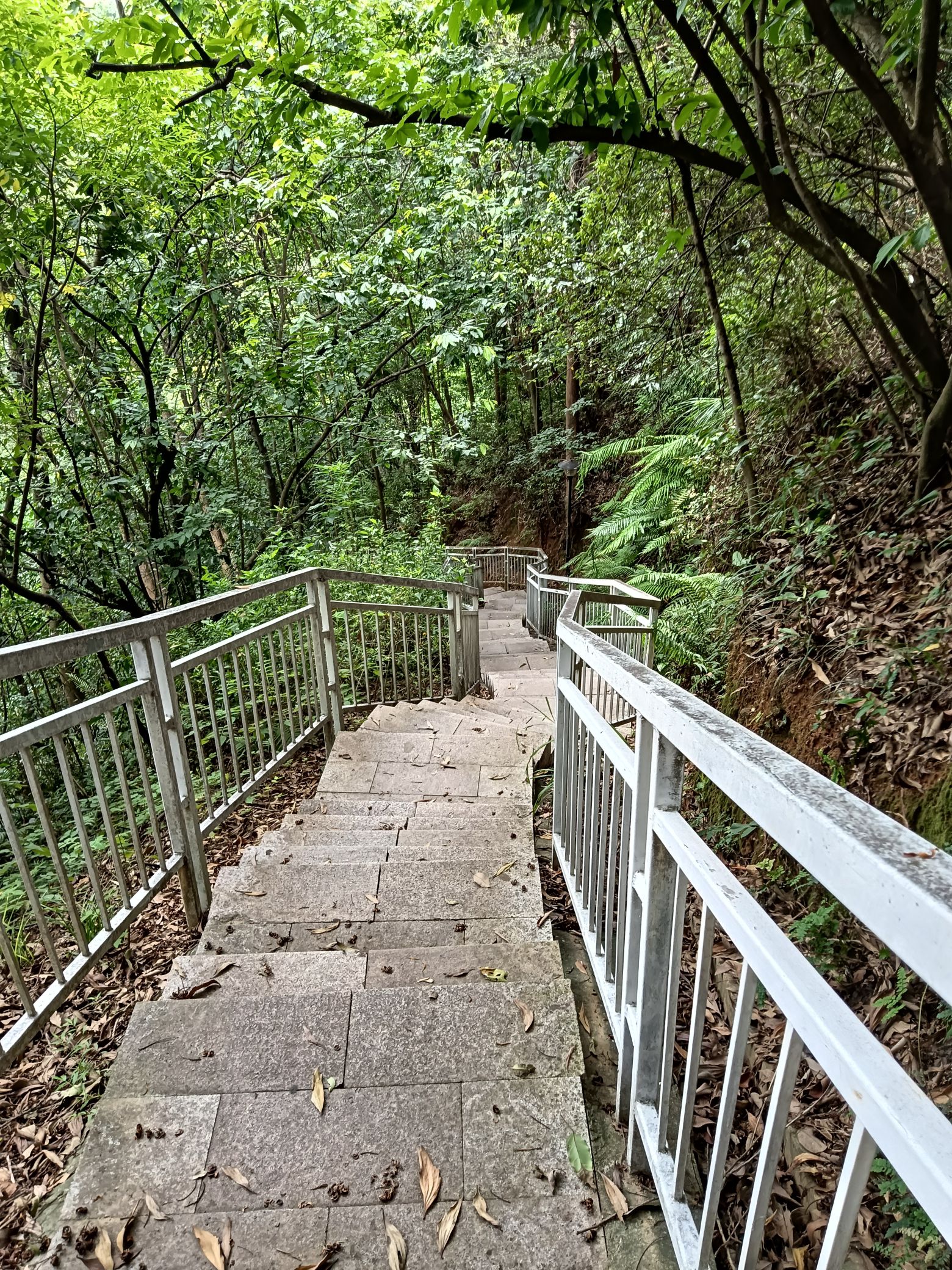 石芽岭公园旅行图片 1